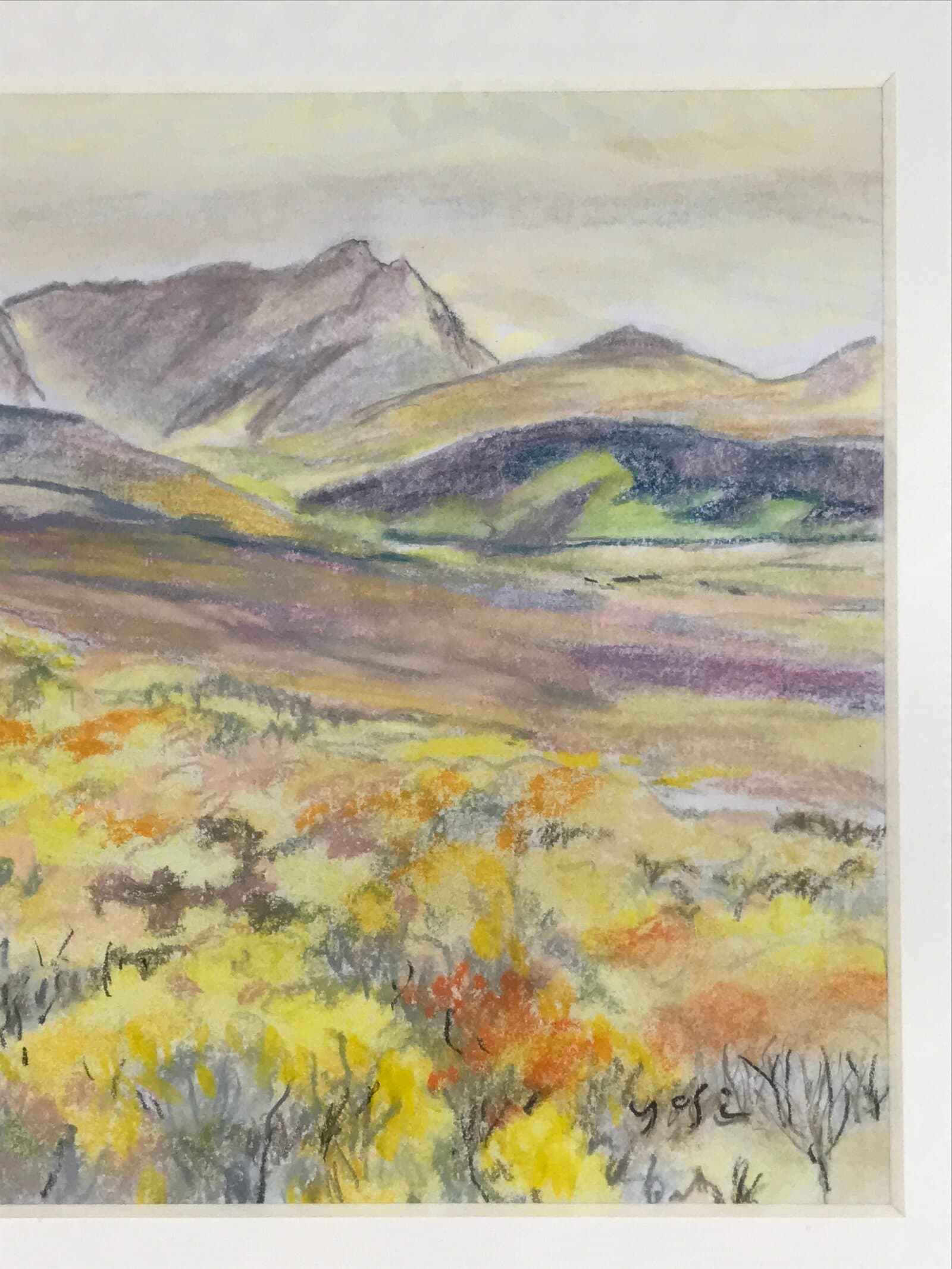 Japanese Autumn Mountain Valley Pastel Drawing Art Signed Yoshihiro Hagino FL331