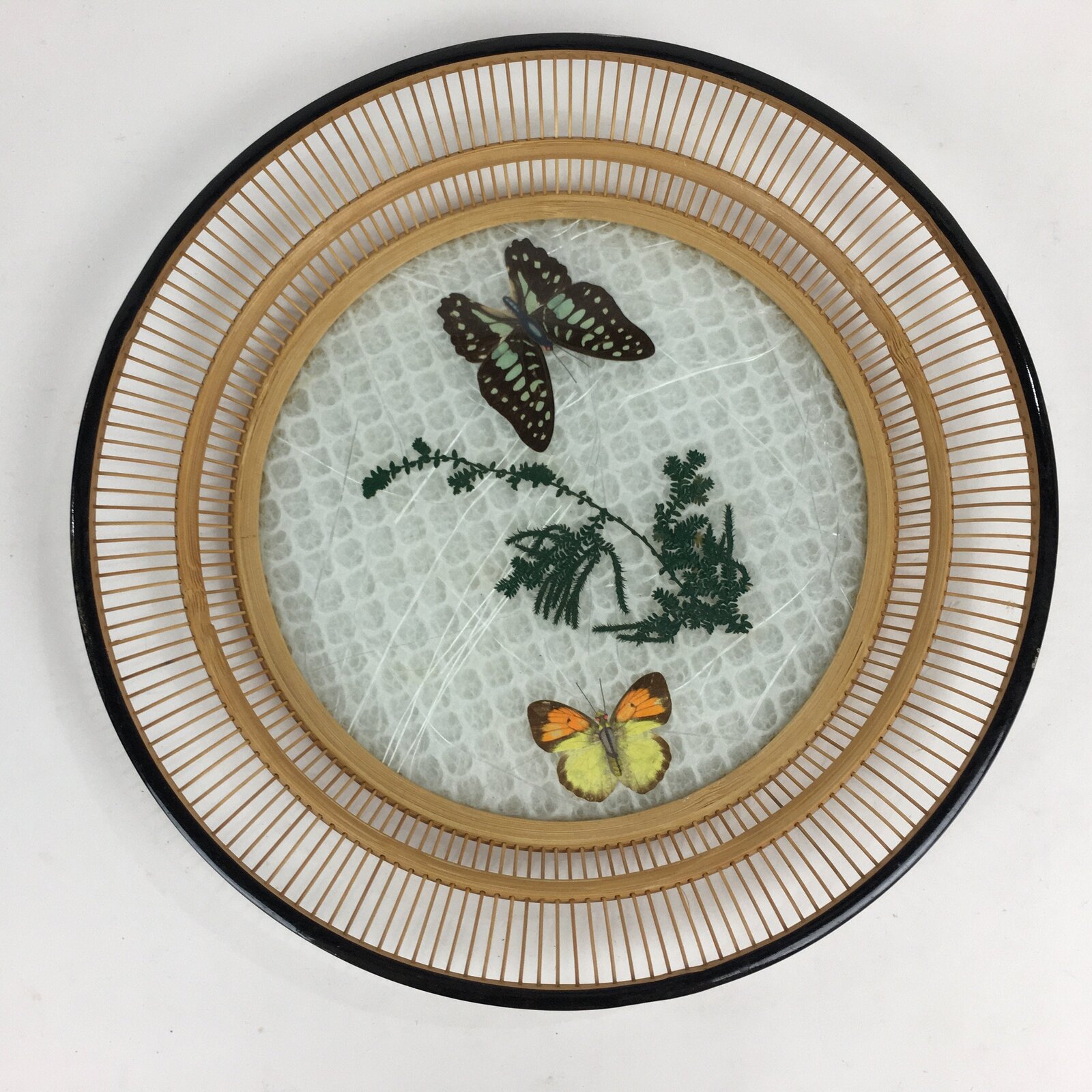 Japanese Bamboo Work Plate Tray Vtg Butterfly See-through Round Shape FL10