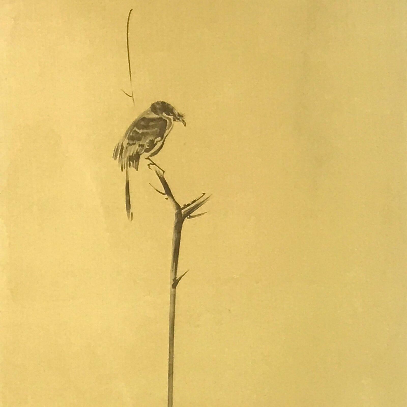 Japanese Boxed Hanging Scroll Vtg Bird Singing Old Tree Miyamoto Musashi KJ145