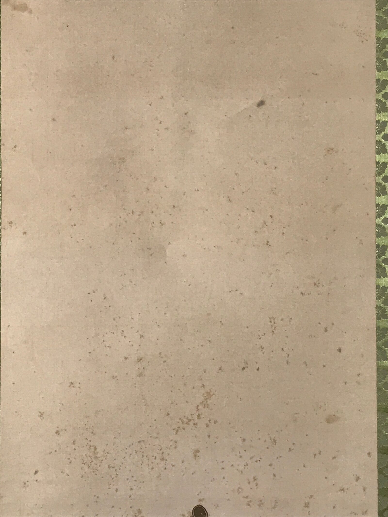 Japanese Boxed Hanging Scroll Vtg Kakejiku Standing Hina Dolls Portrait KJ159