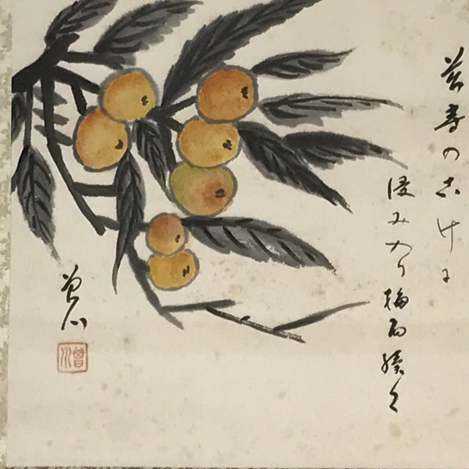 Japanese Boxed Hanging Scroll Vtg Loquat Biwa Poem Square Kakejiku KJ39