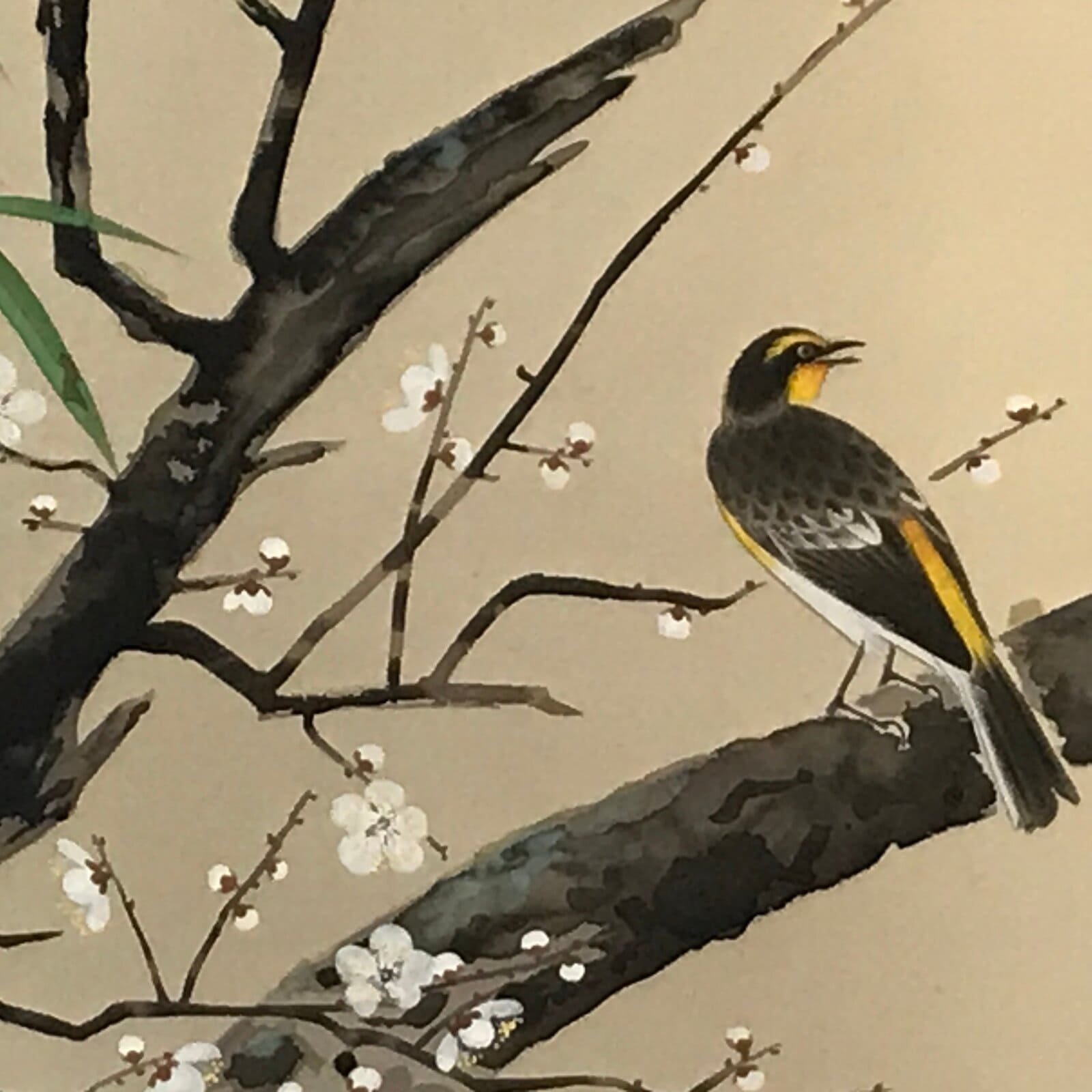 Japanese Boxed Hanging Scroll Vtg Plum Tree Ume Bamboo Bird Kakejiku KJ40