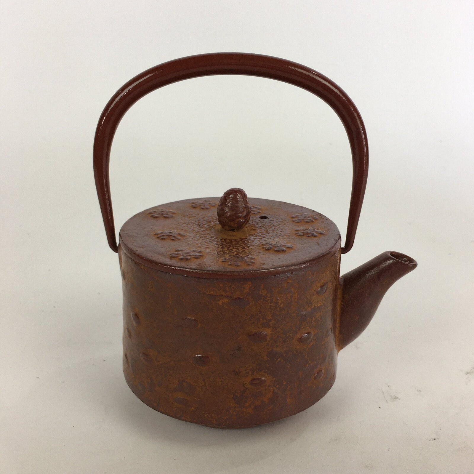 Japanese Cast Iron Teapot Vtg Kyusu Tetsubin Kettle Arare Nanbu Tekki Brown T78