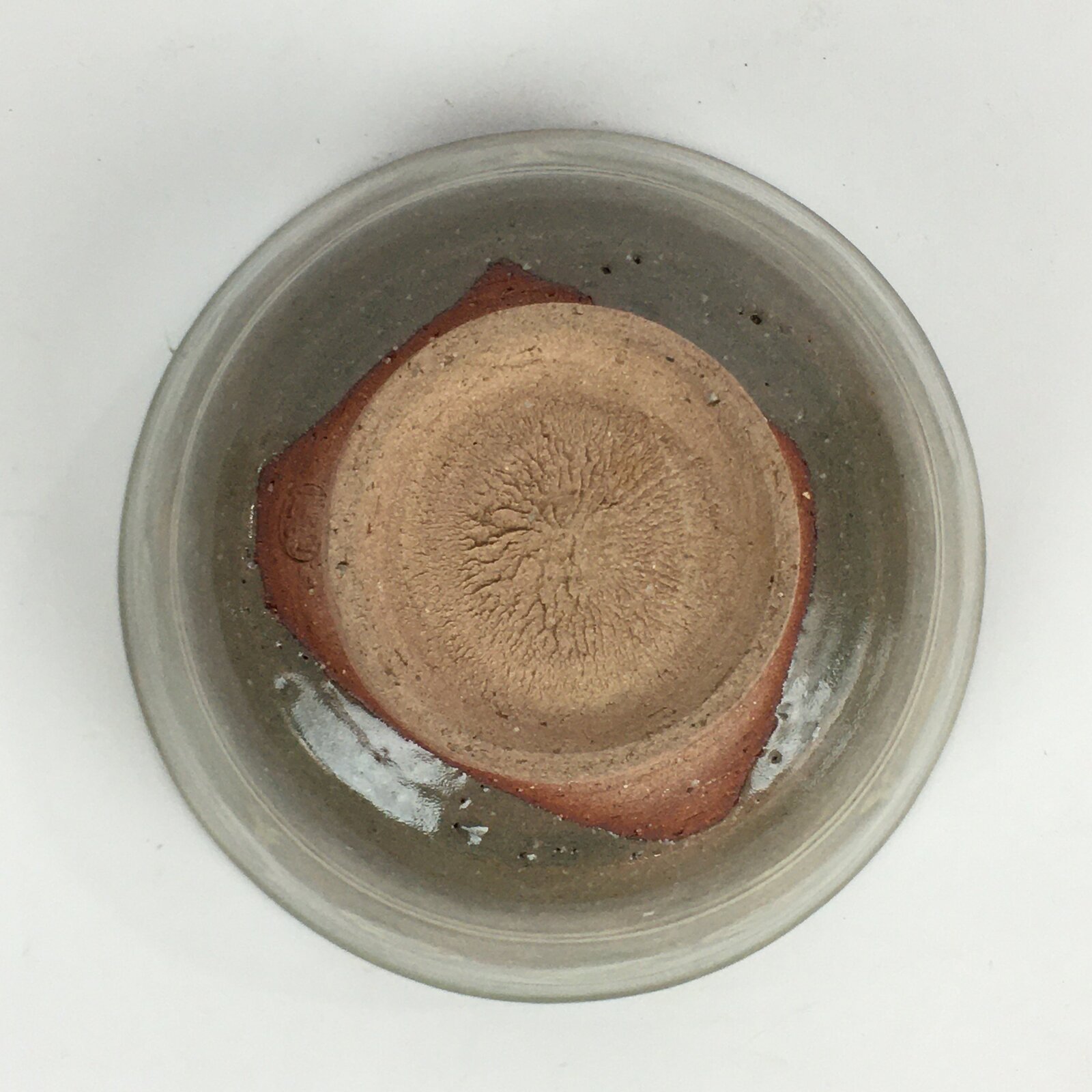 Japanese Ceramic Green Tea Ceremony Bowl Vtg Matcha Chawan Crane Pottery GTB912