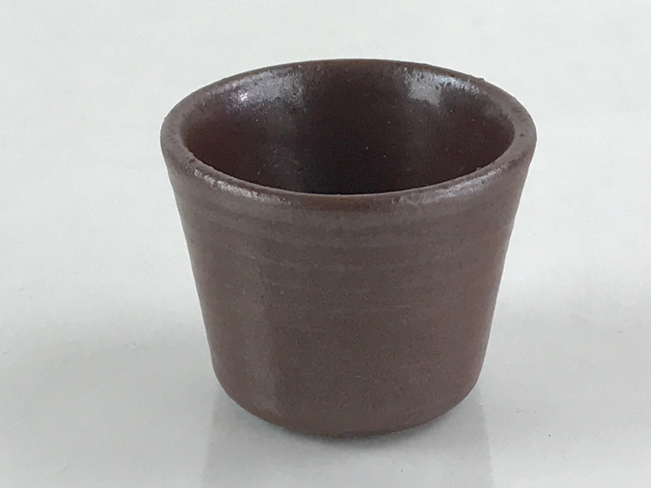 Japanese Ceramic Sake Bottle Sake Cup Set Tokkuri Sakebin Kanji Nagano TS536