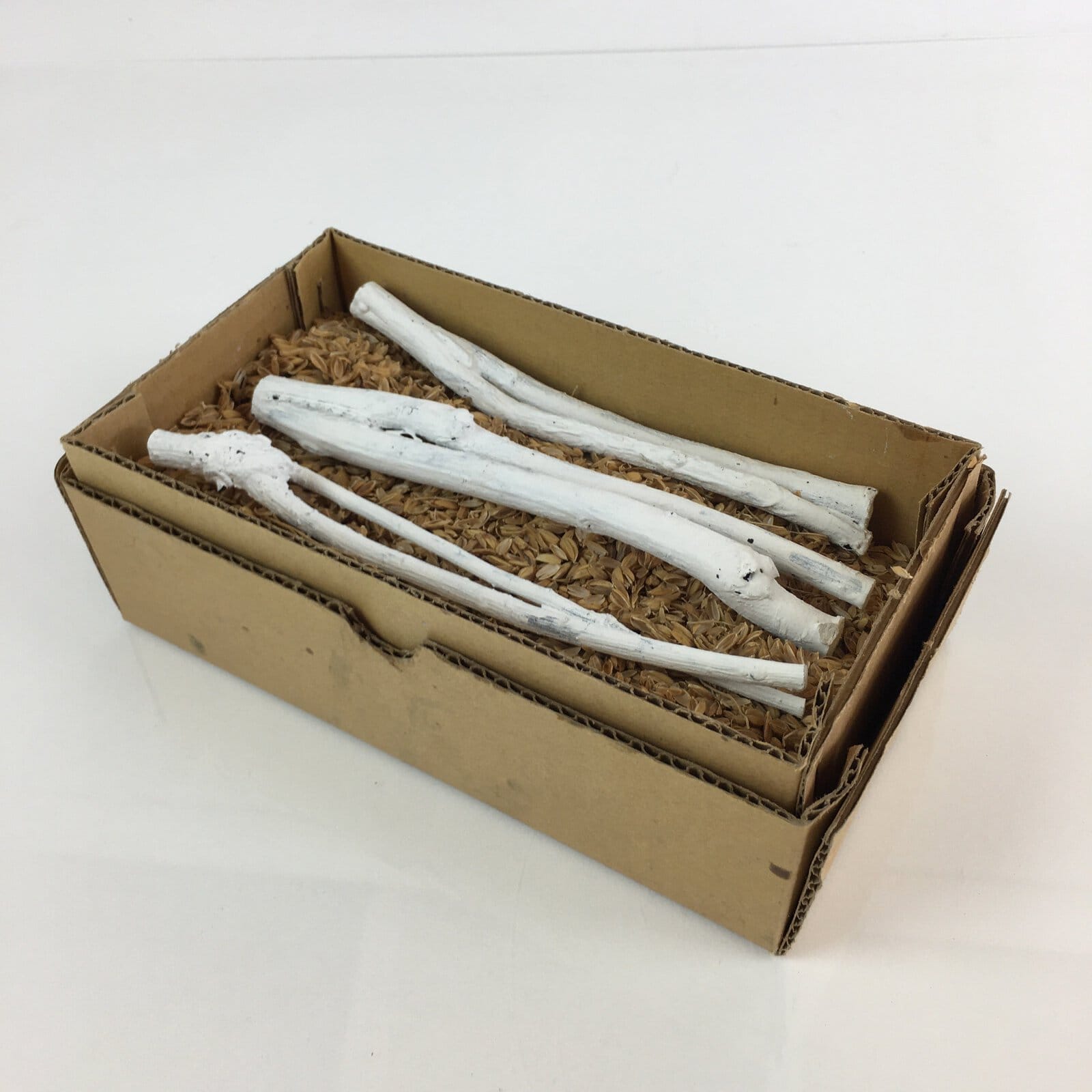 Japanese Edazumi Charcoal Tea Ceremony Vtg White Tea Utensils JK390