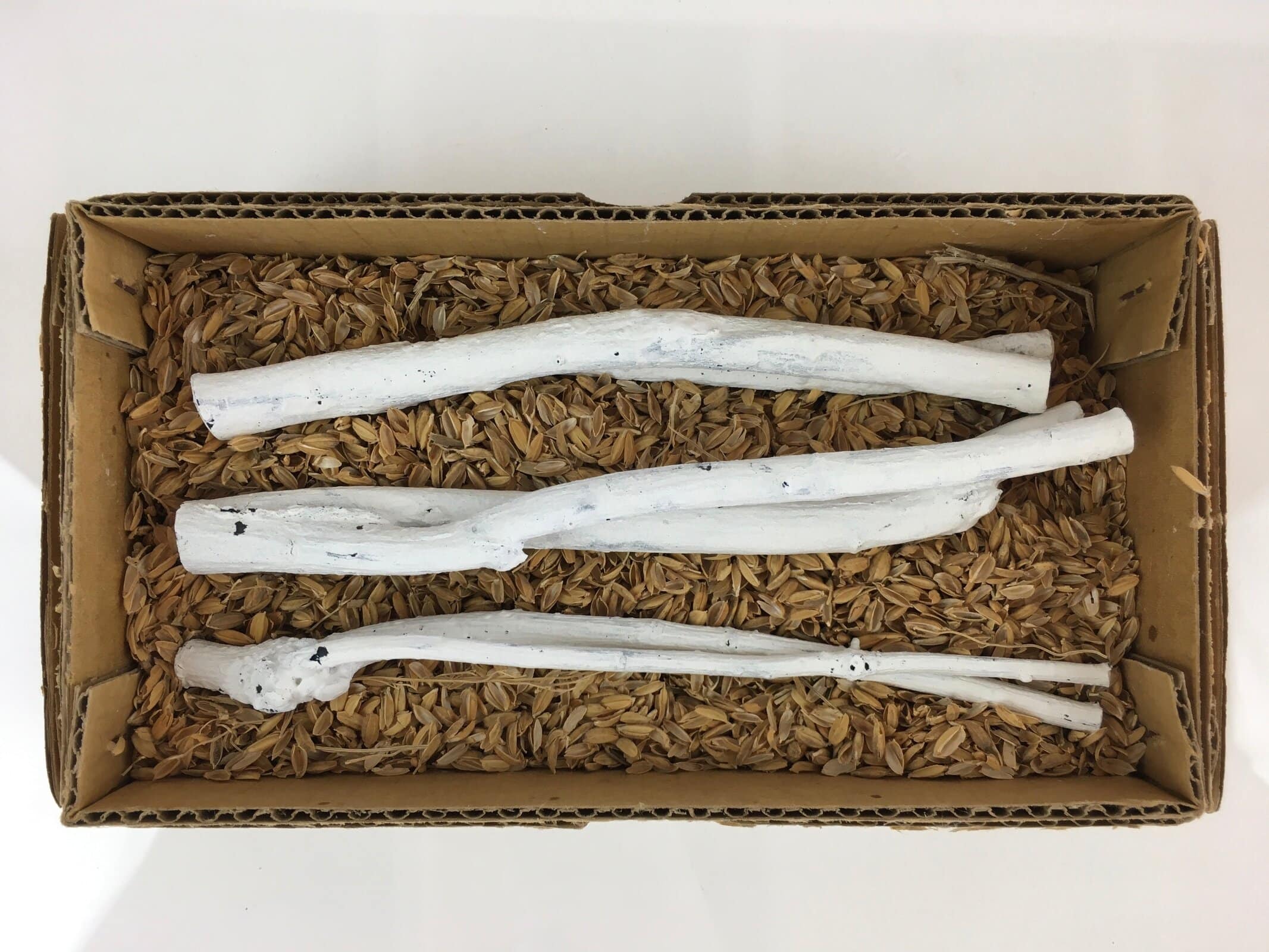 Japanese Edazumi Charcoal Tea Ceremony Vtg White Tea Utensils JK390