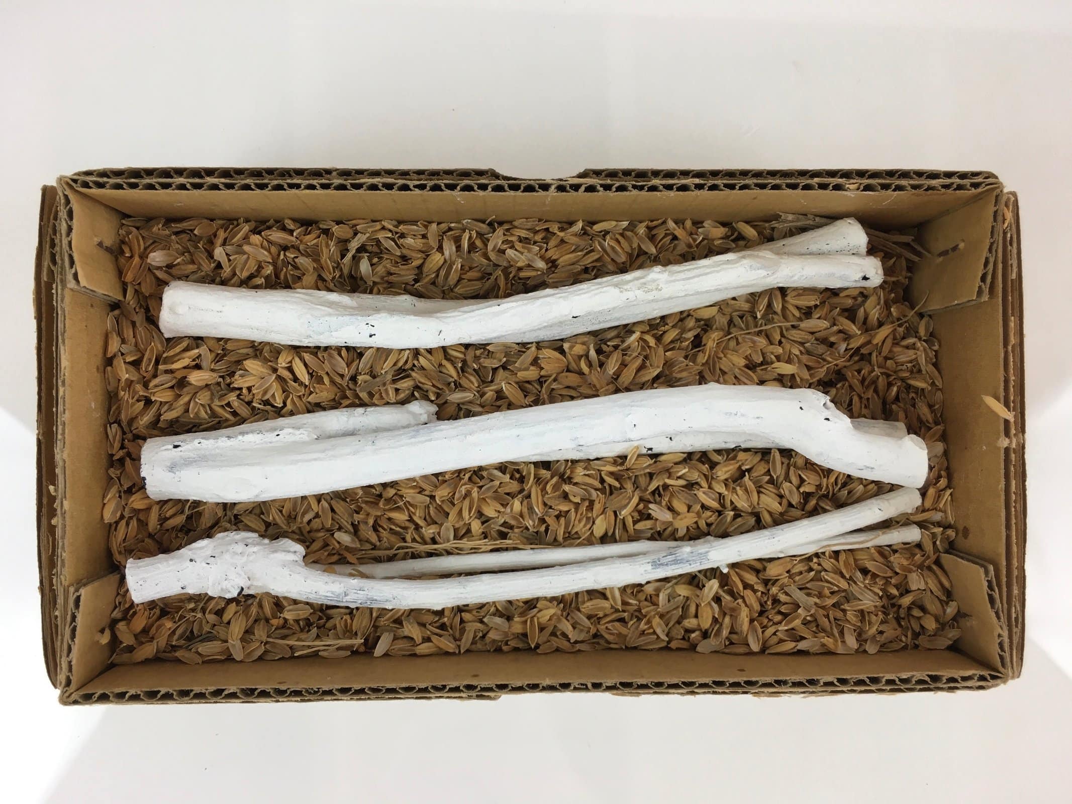 Japanese Edazumi Charcoal Tea Ceremony Vtg White Tea Utensils JK390