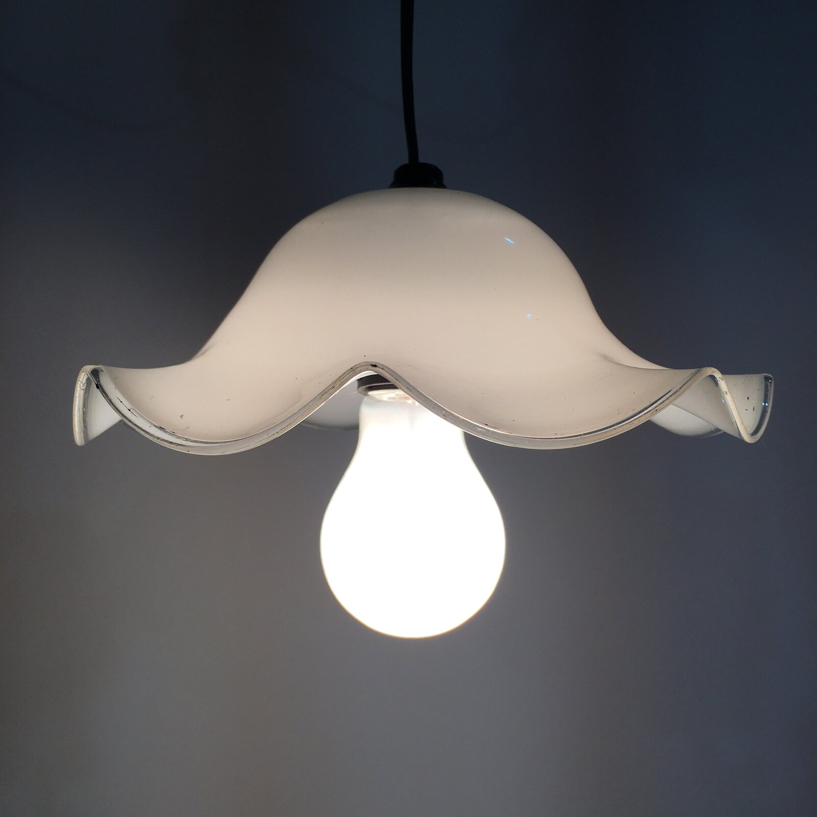 Japanese Glass Lamp Shade And Light Bulb Set Vtg White Glass JK368