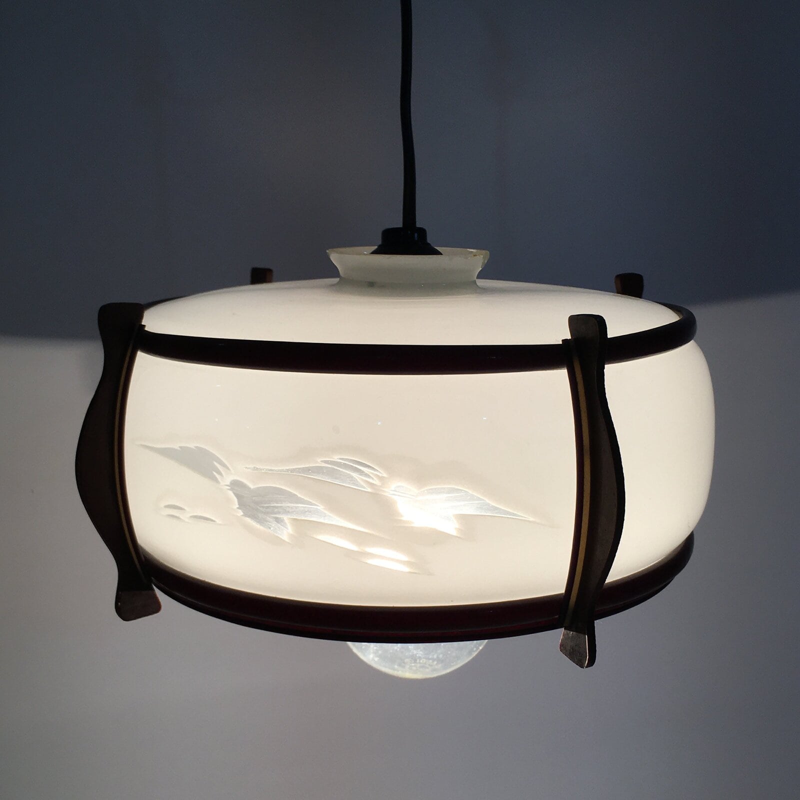 Japanese Glass Light Bulb Cover And Light Bulb Set Vtg Birds JK365