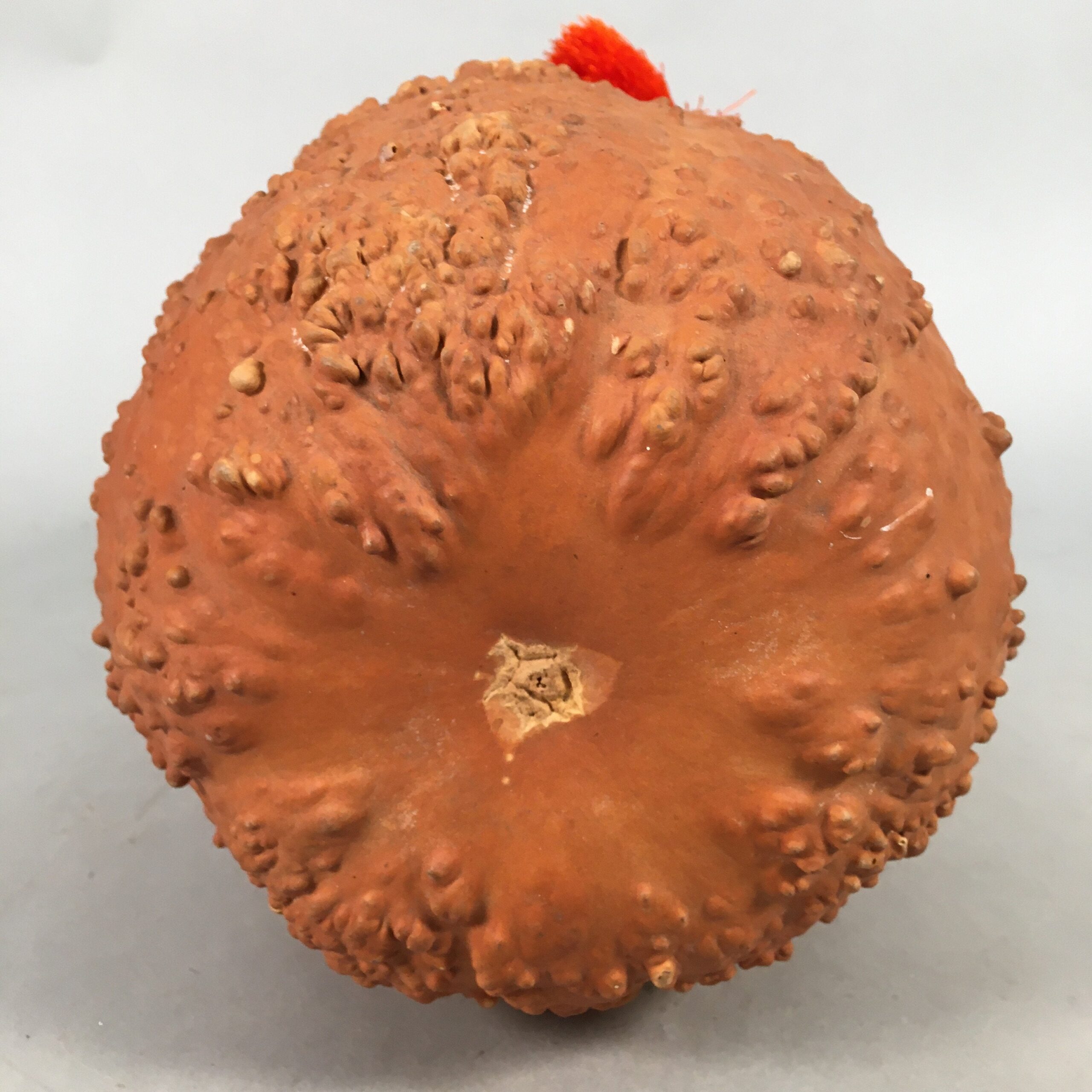 Japanese Gourd Display Vtg Ornament Tassel Ornament Natural Tassel BD578