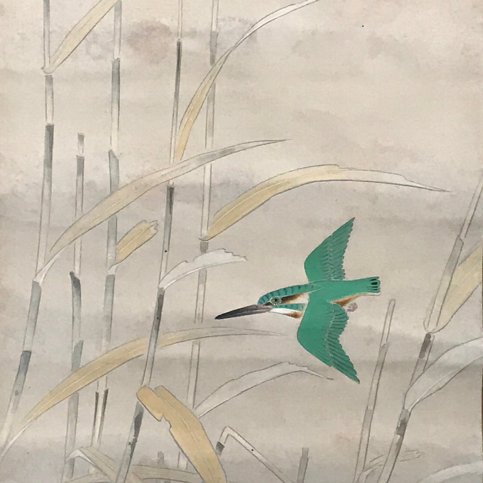 Japanese Hanging Scroll Green Kingfisher Riverside Reed Kakejiku Kakemono SC778