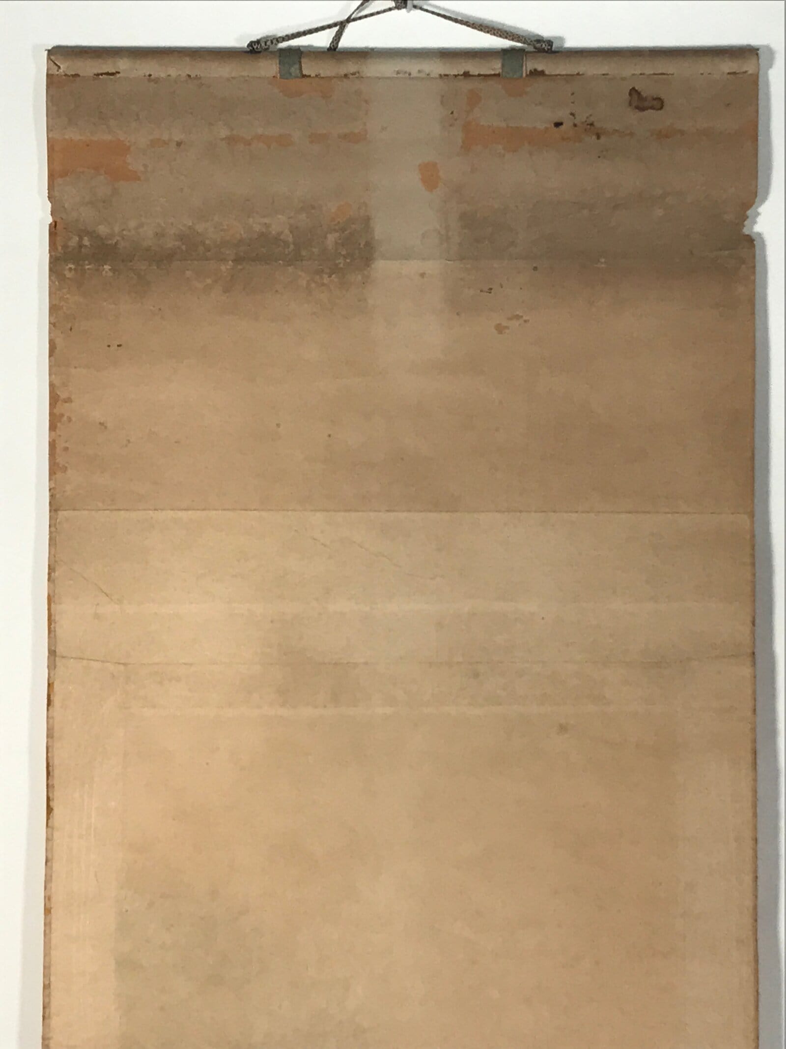 Japanese Hanging Scroll Kakejiku Vtg Blue Bird Pine Tree Camellia Flower KJ88