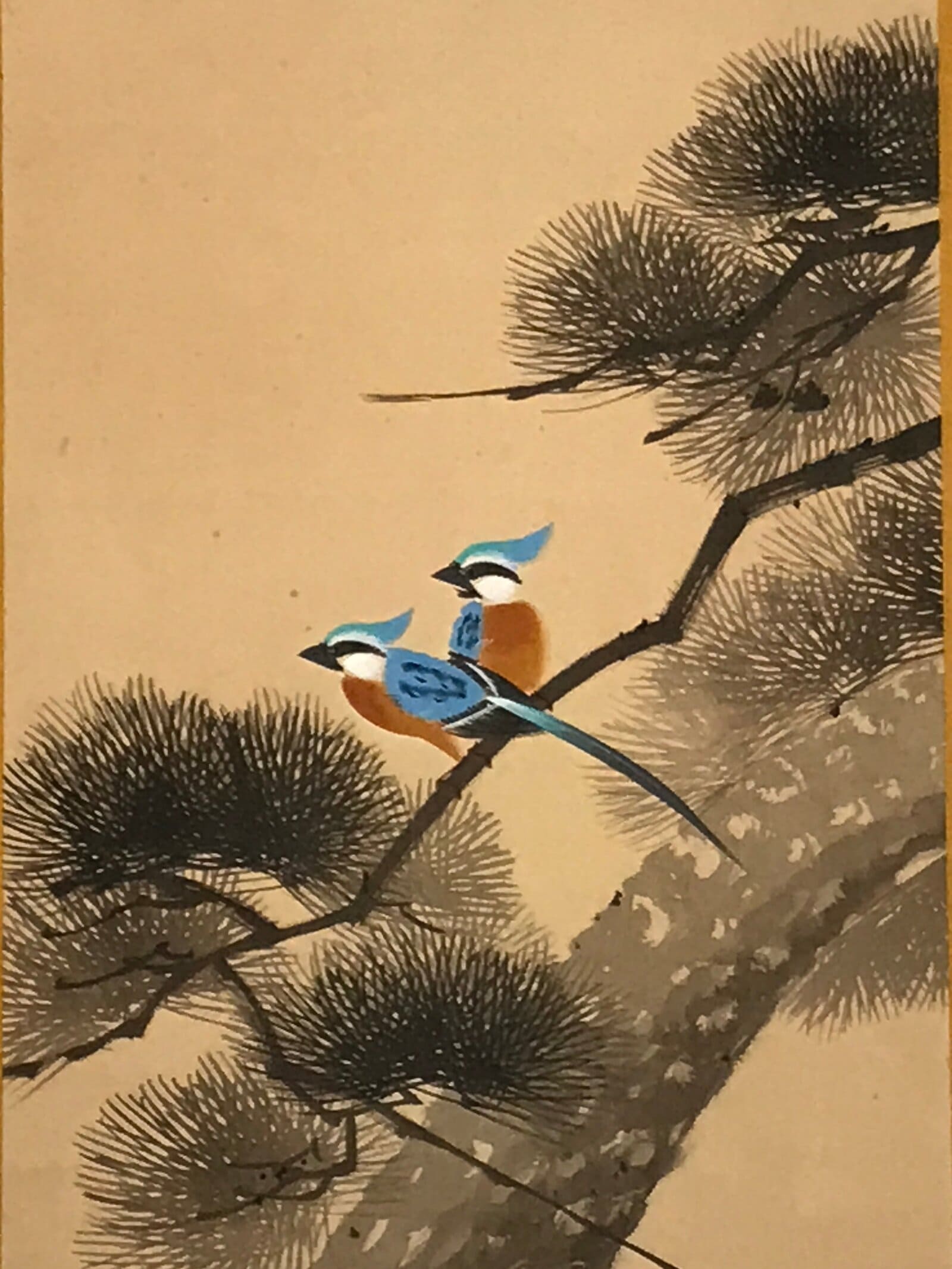 Japanese Hanging Scroll Kakejiku Vtg Blue Bird Pine Tree Camellia Flower KJ88