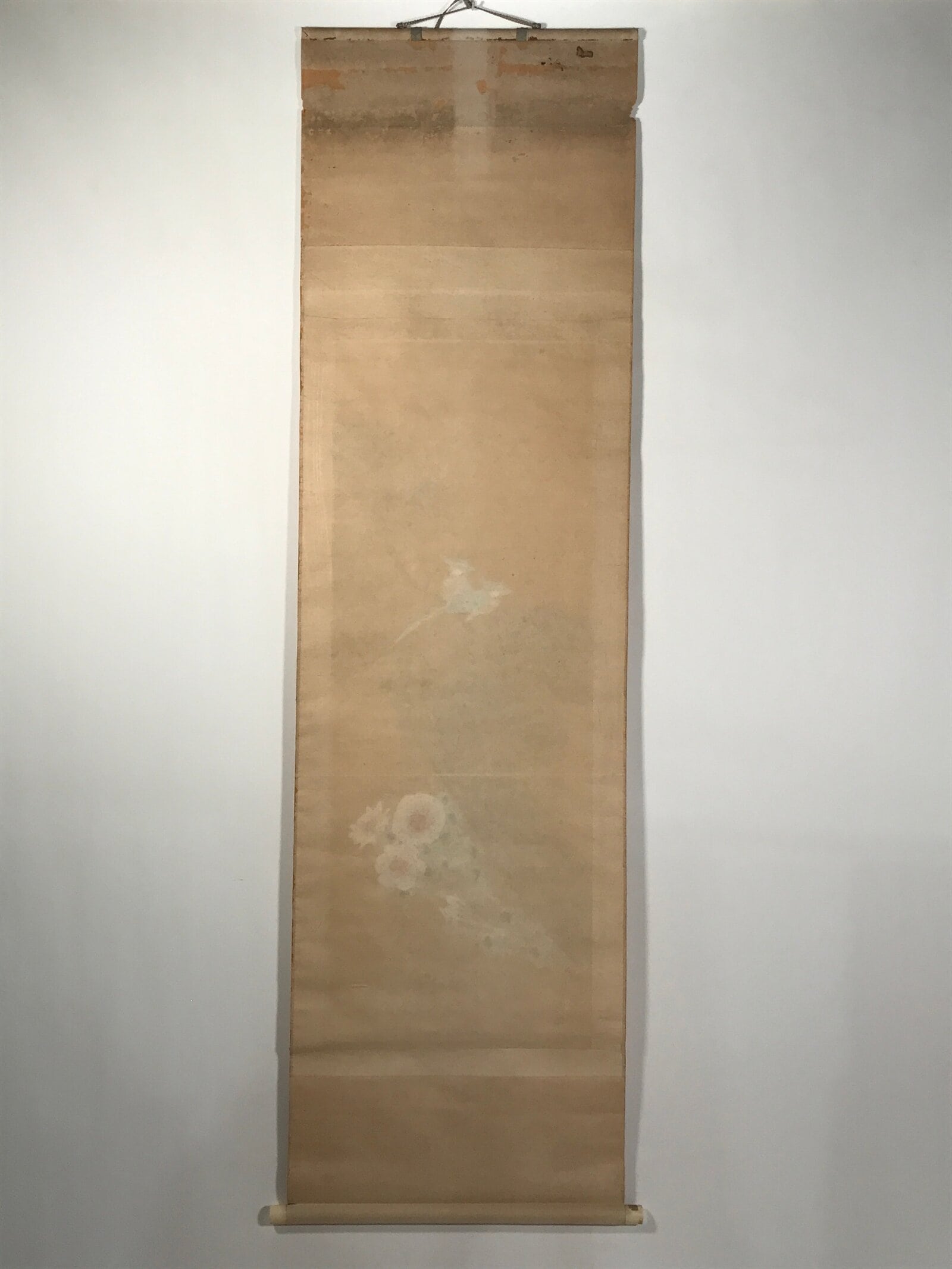 Japanese Hanging Scroll Kakejiku Vtg Blue Bird Pine Tree Camellia Flower KJ88