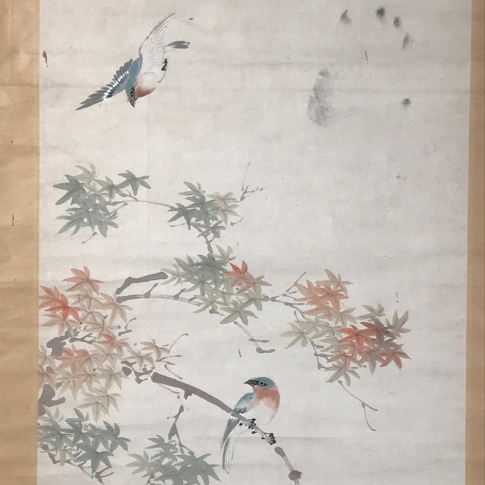 Japanese Hanging Scroll Kakejiku Vtg Momiji Maple Leave Bird Autumn Color KJ132