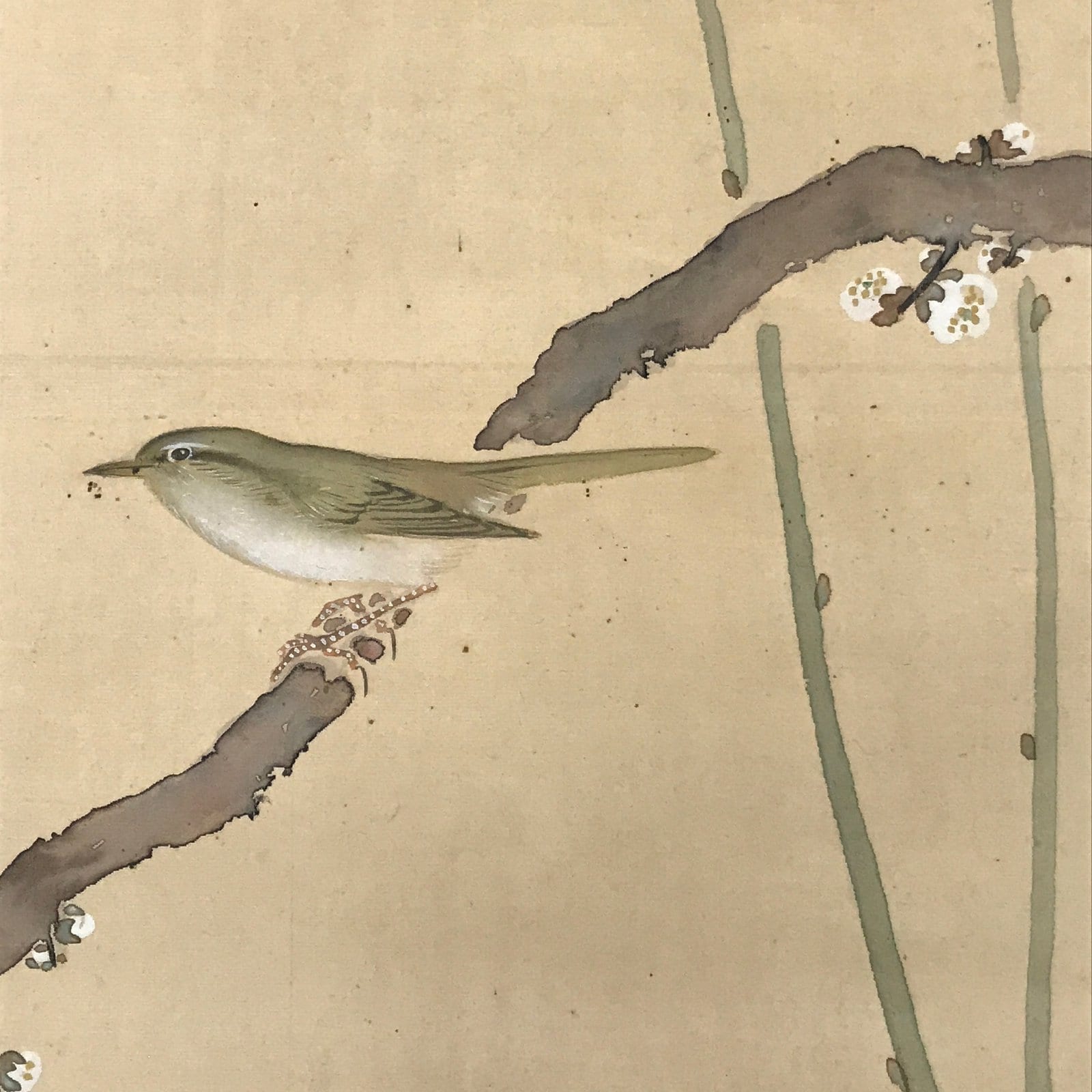 Japanese Hanging Scroll Kakejiku Vtg Plum Blossom Sparrow Bird Color Ink KJ97