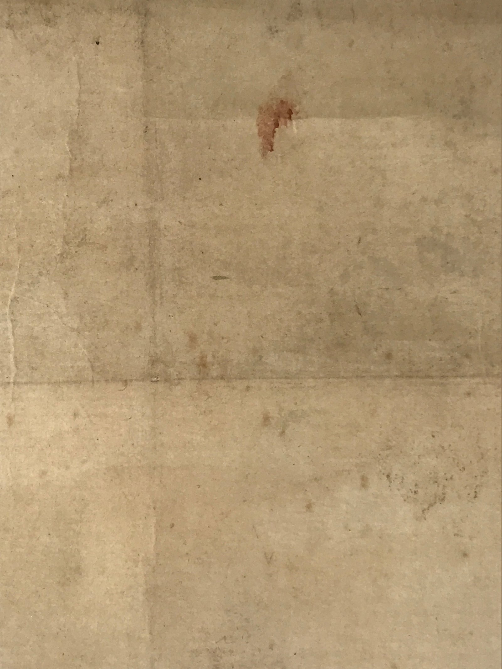 Japanese Hanging Scroll Kakejiku Vtg River Ducks Birds Nature Color KJ123