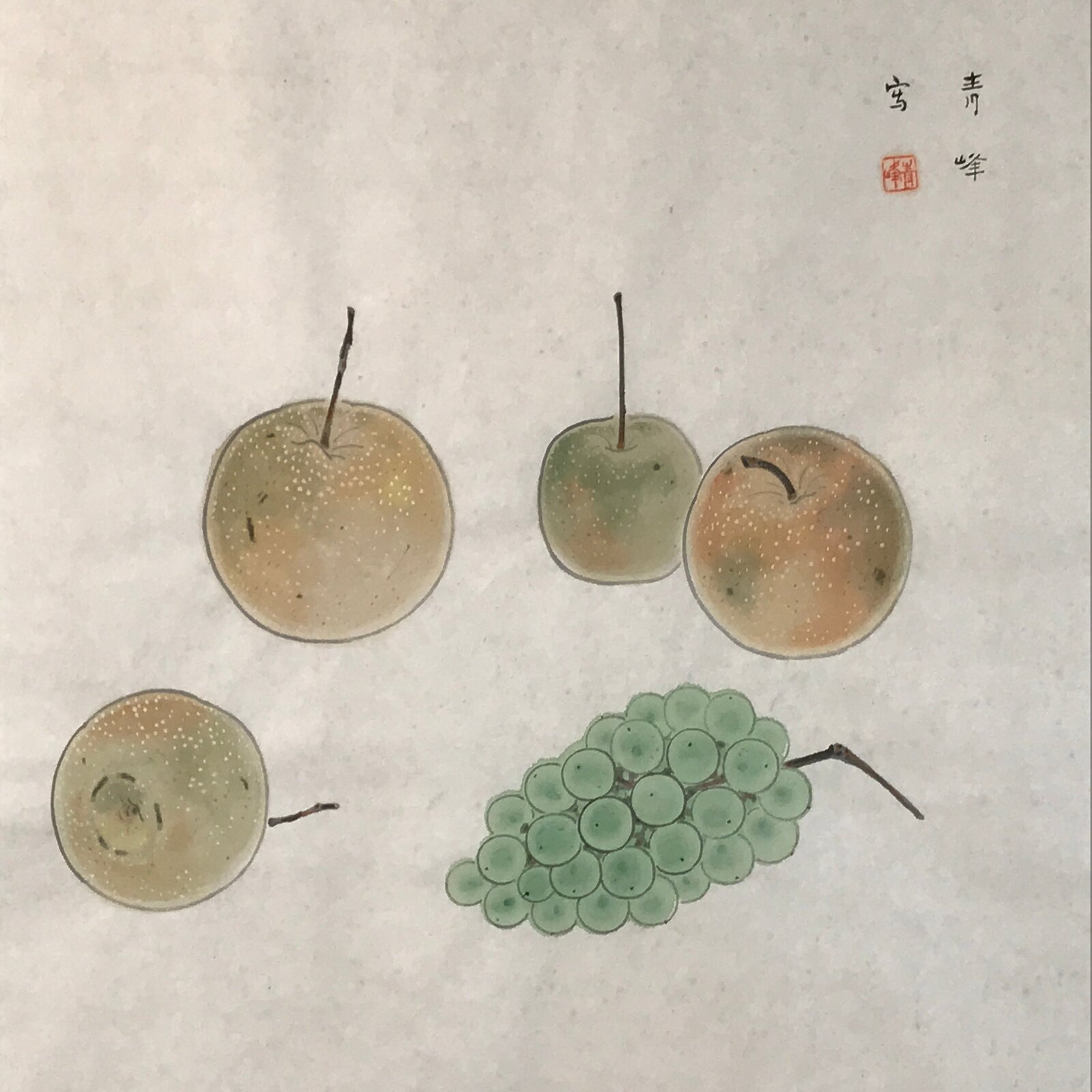Japanese Hanging Scroll Kakejiku Vtg Still Life Fruits Pear Grapes Color KJ167