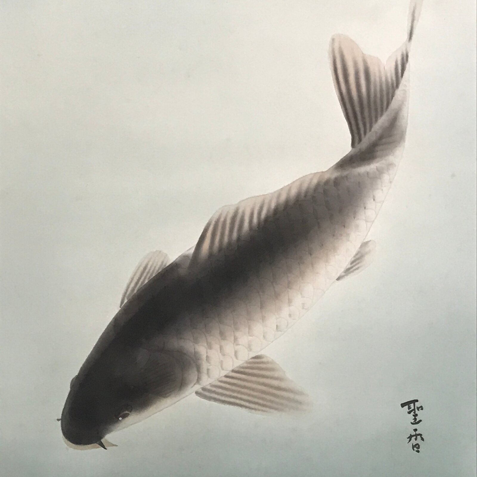 Japanese Hanging Scroll Koi Carps Swimming Red Black Kakejiku Color KJ11