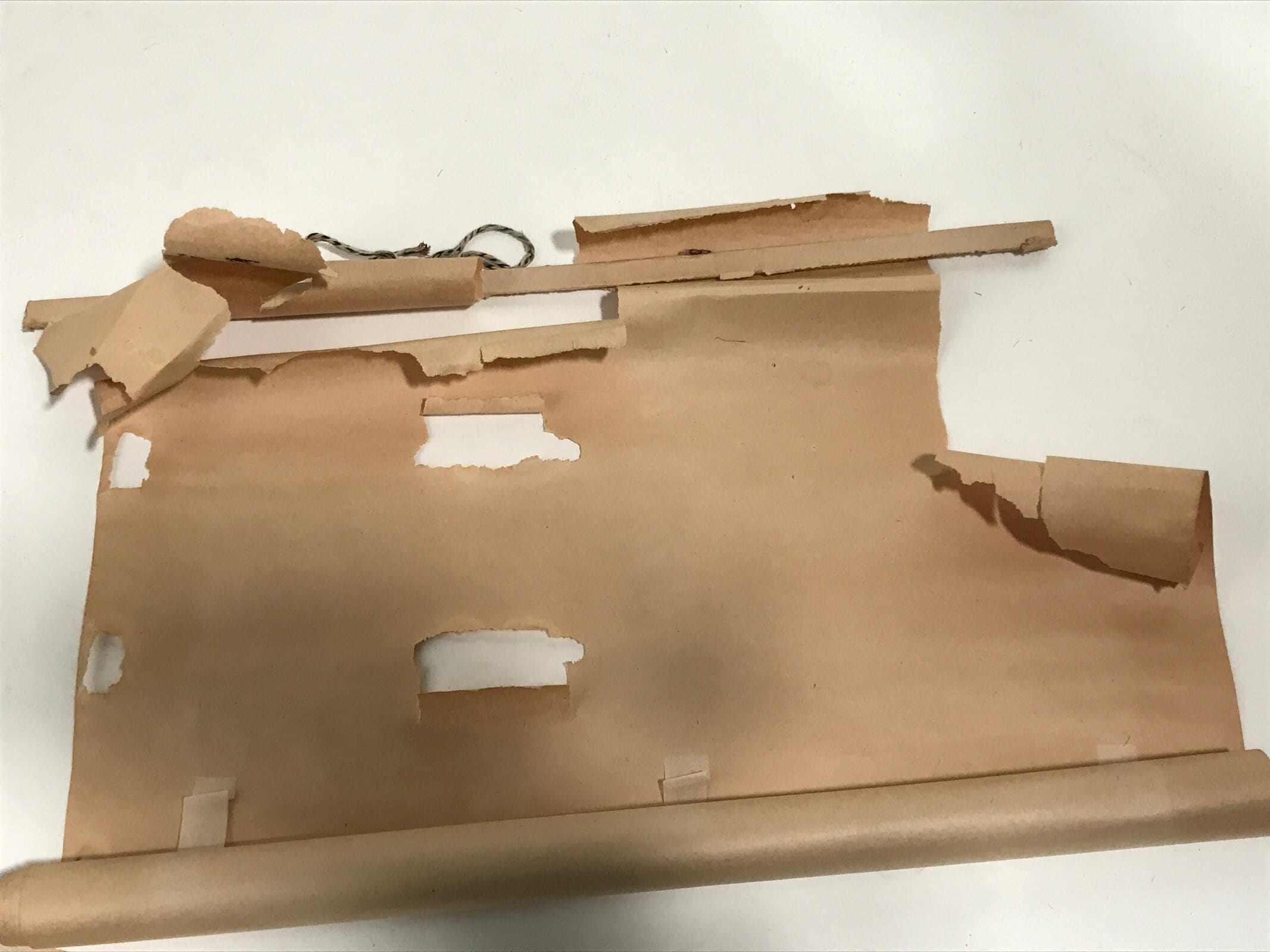 Japanese Hanging Scroll Vtg Bodhidharma Standing Buddhist Kakejiku SC945