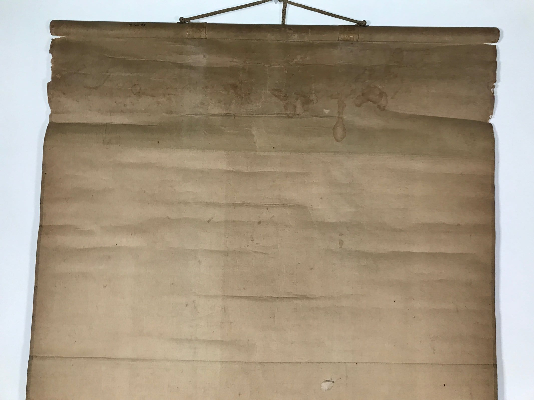 Japanese Hanging Scroll Vtg Kakejiku Abstract Nature Design Plants Black KJ66