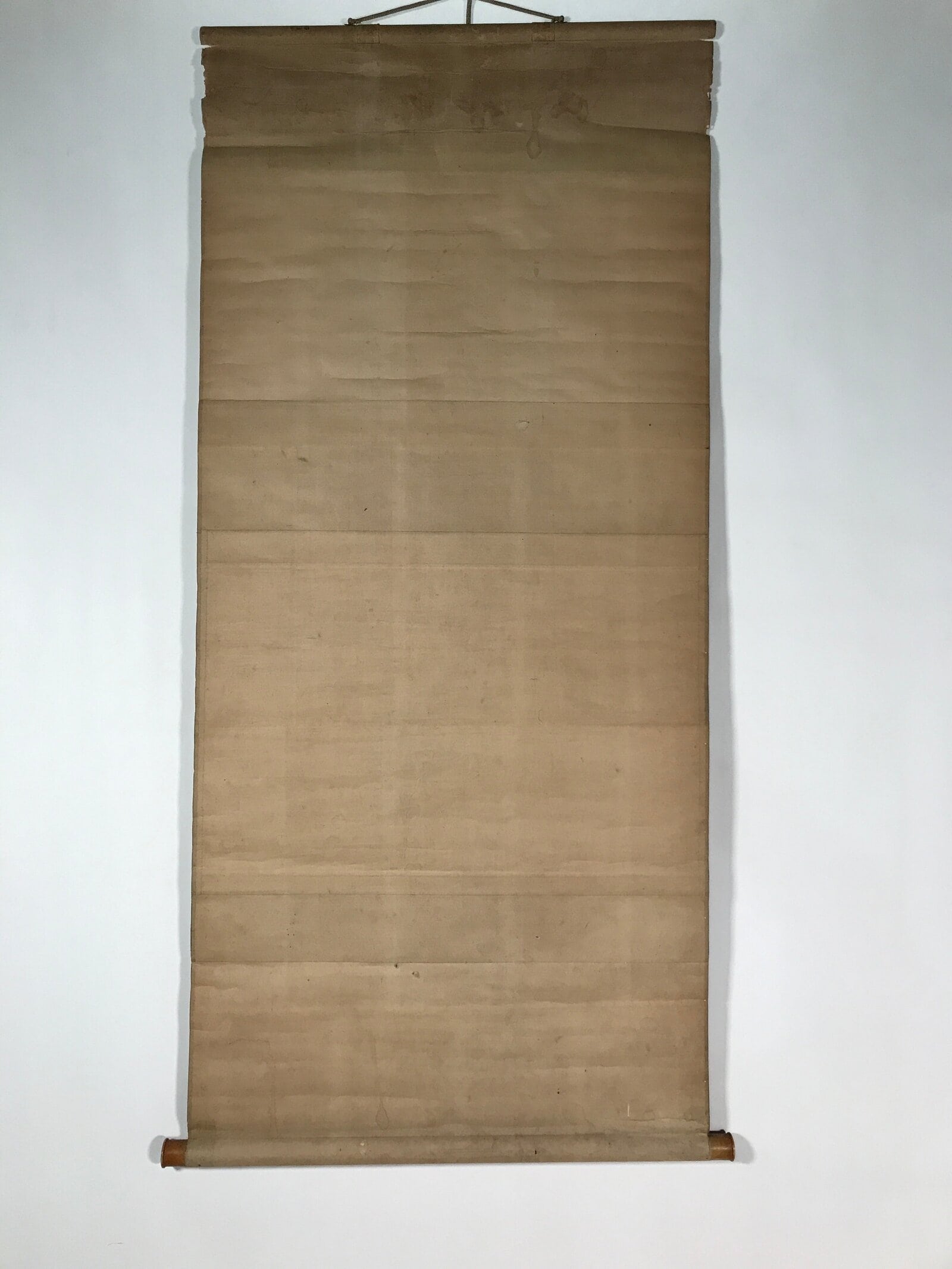 Japanese Hanging Scroll Vtg Kakejiku Abstract Nature Design Plants Black KJ66