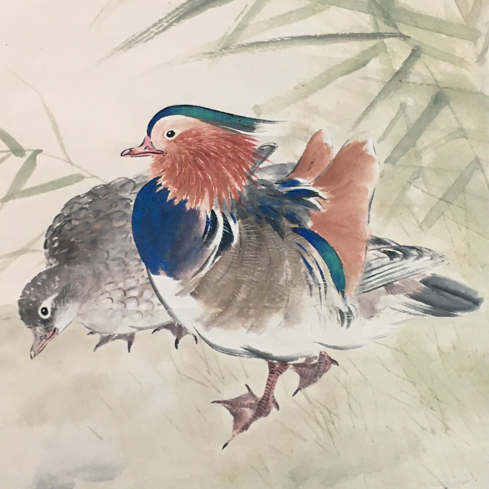 Japanese Hanging Scroll Vtg Kakejiku Kakemono Duck Chick Pond SC745