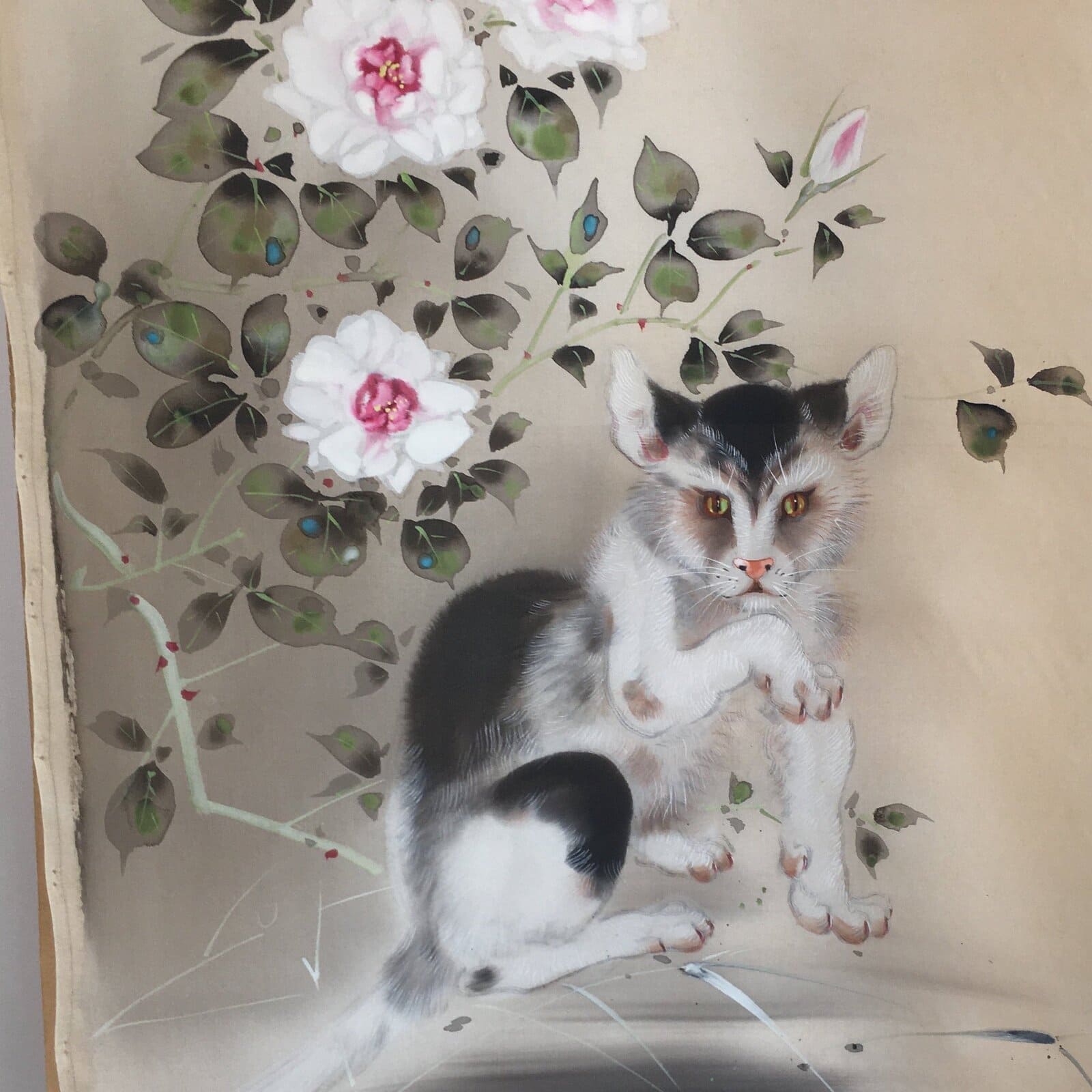 Japanese Hanging Scroll Vtg Kakejiku Kakemono Painting Cat Camellia SC639