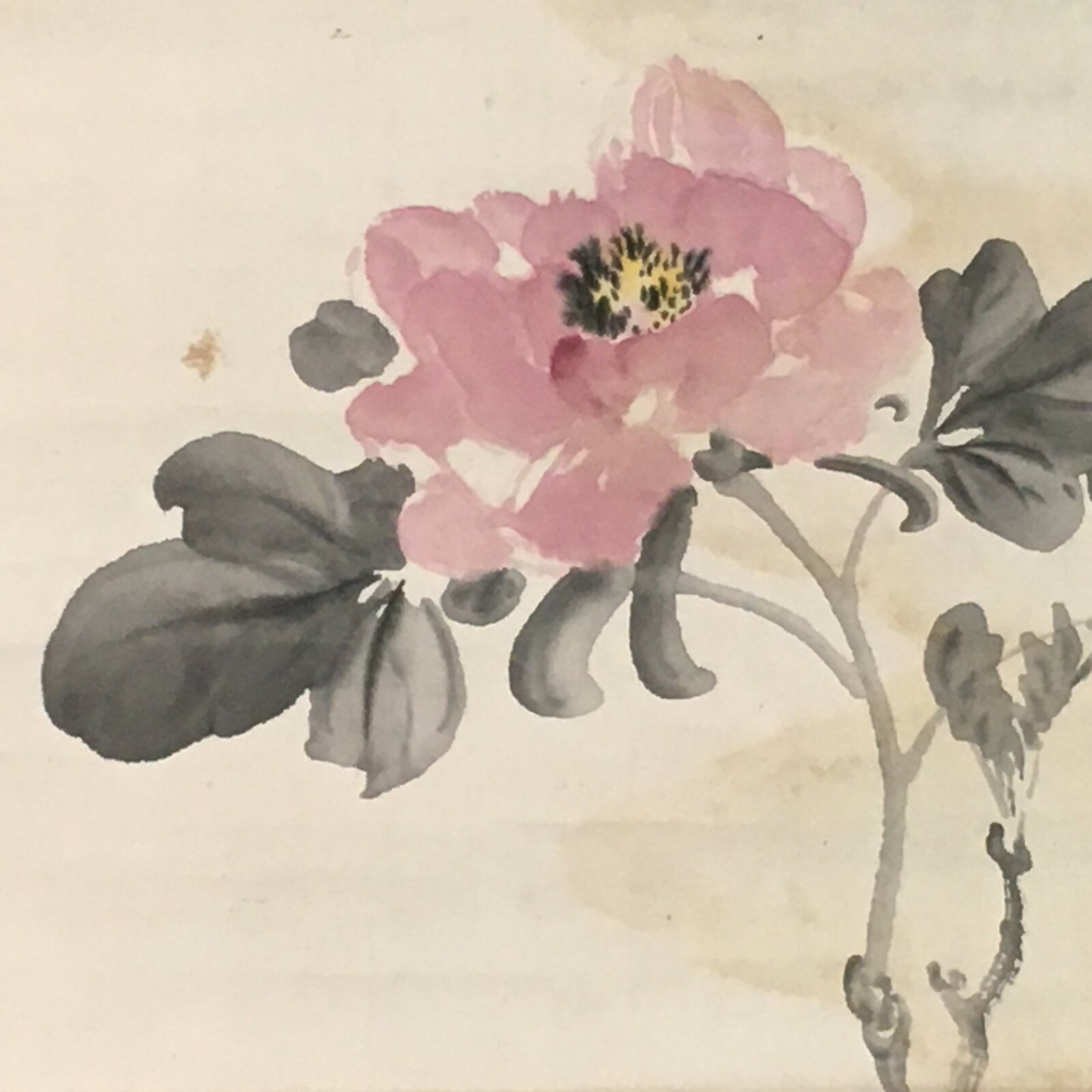 Japanese Hanging Scroll Vtg Kakejiku Kakemono Pink Peony Flower SC746