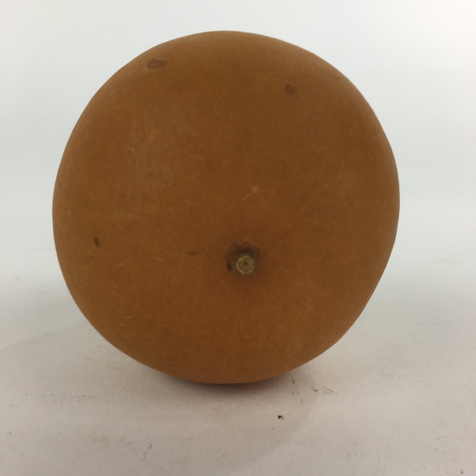 Japanese Hyotan Natural Gourd Sake Bottle Brown Lucky Charm Calabash G232