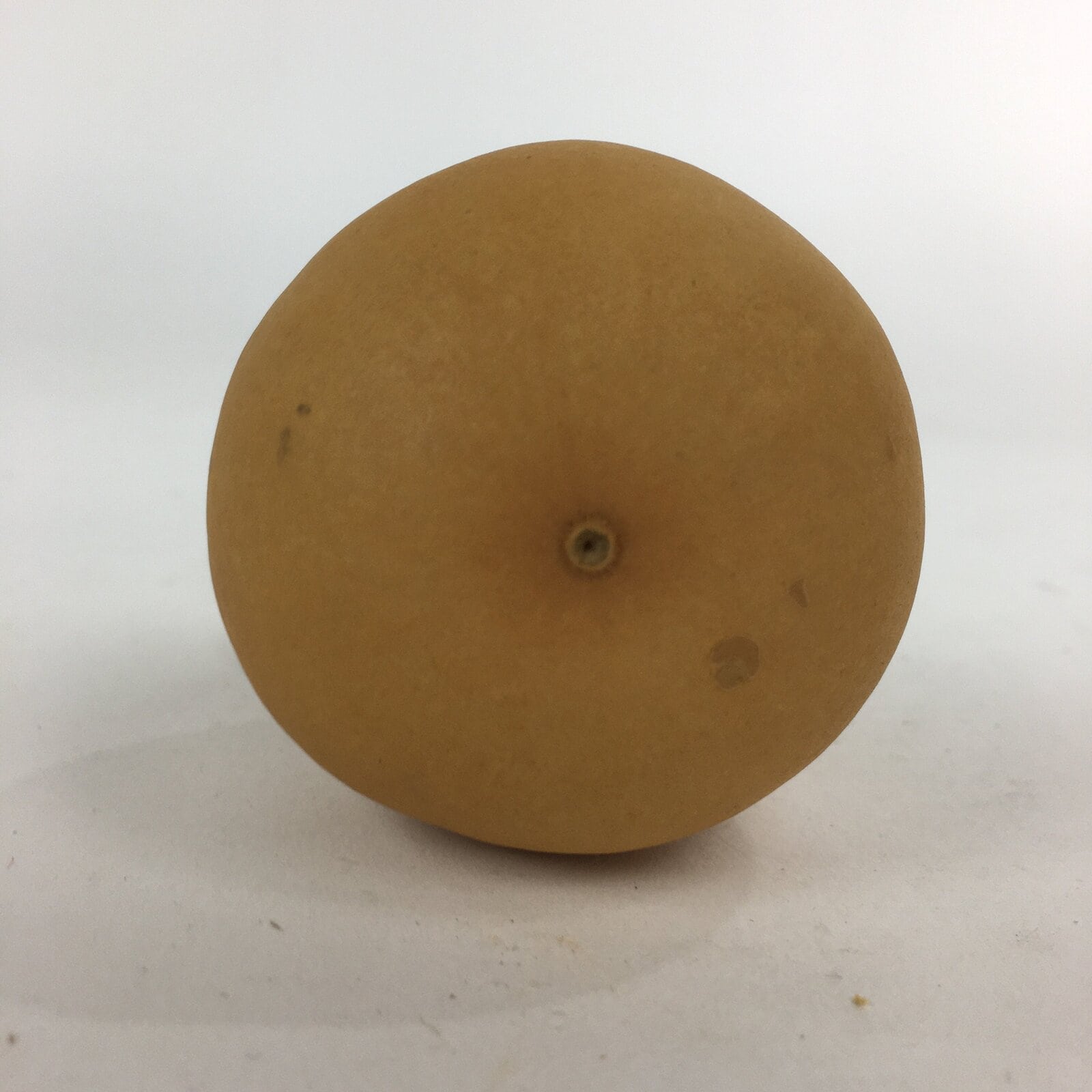 Japanese Hyotan Natural Gourd Sake Bottle Brown Lucky Charm Calabash G239