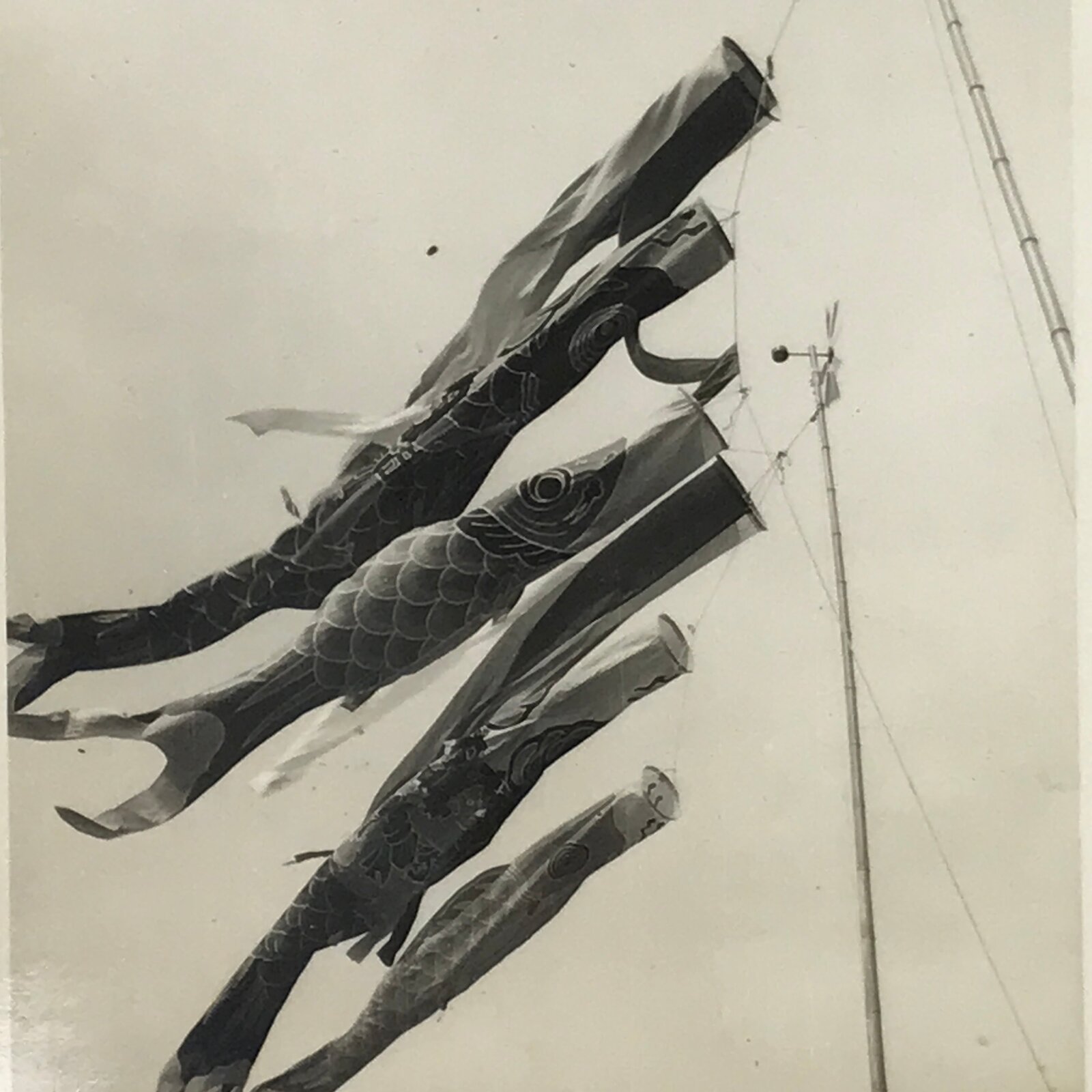 Japanese Koinobori Carp Streamers Photograph Children's Day Black White PH206