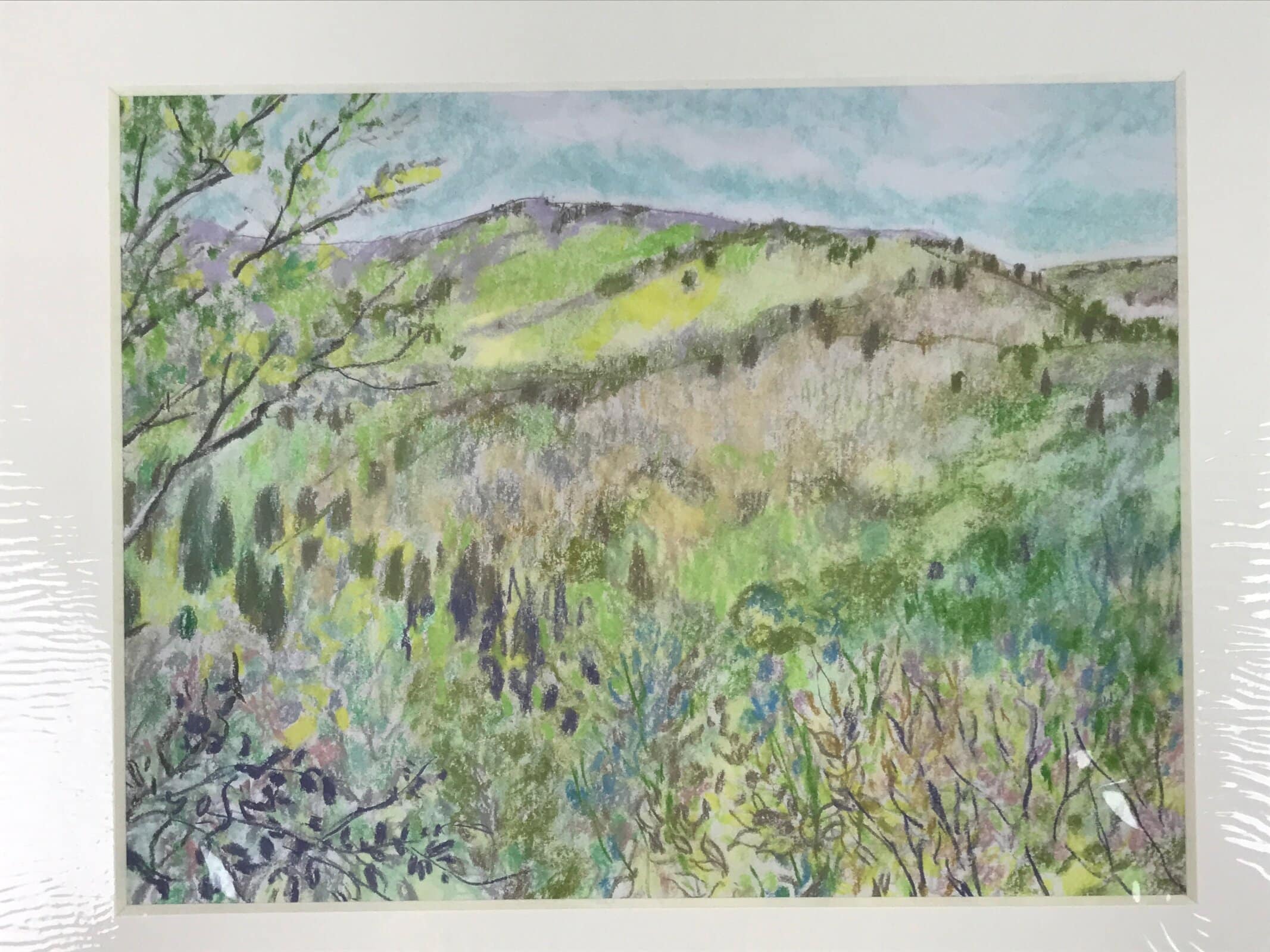 Japanese Lush Nature Landscape Pastel Drawing Art Signed Yoshihiro Hagino FL321