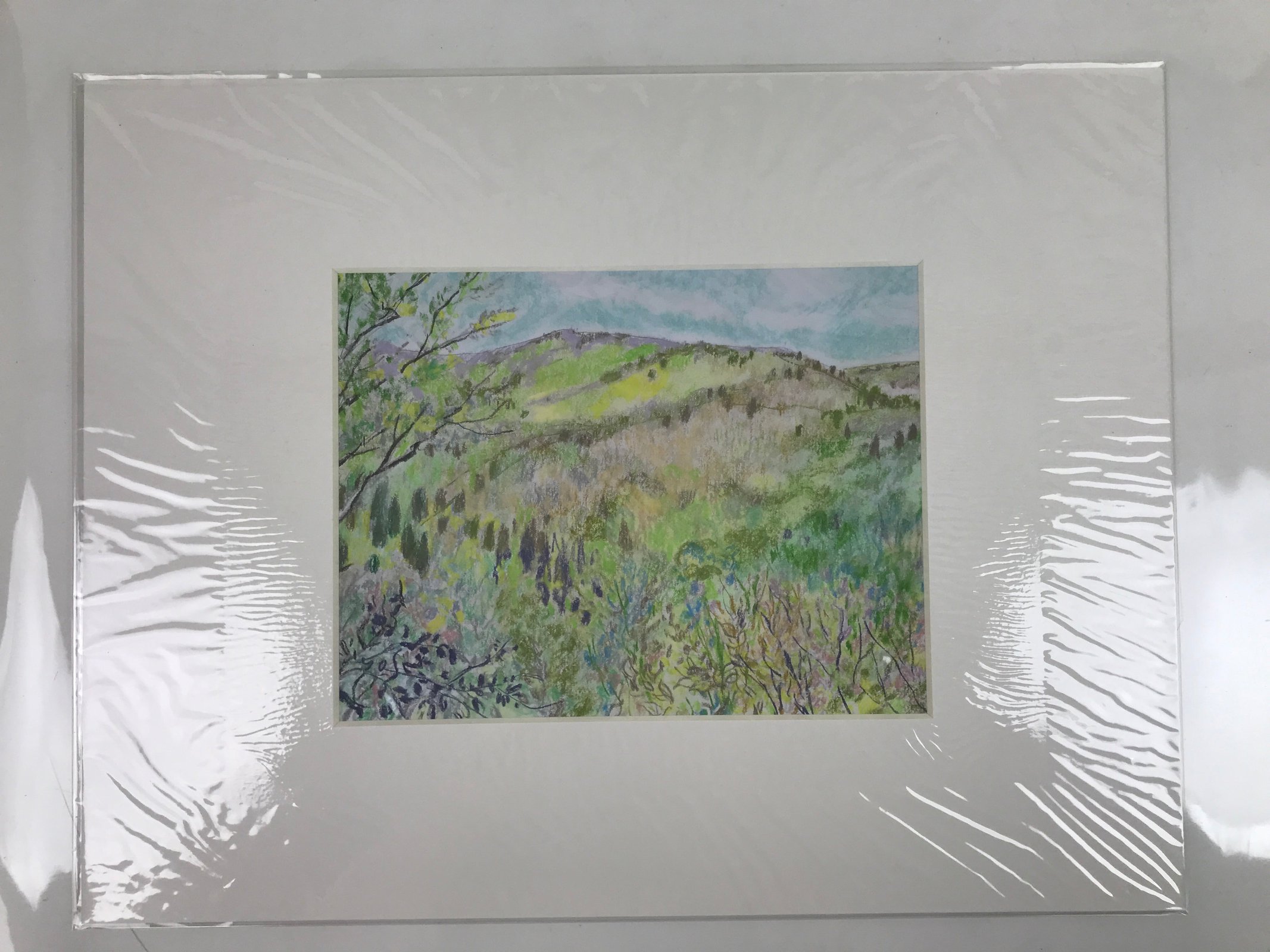 Japanese Lush Nature Landscape Pastel Drawing Art Signed Yoshihiro Hagino FL321
