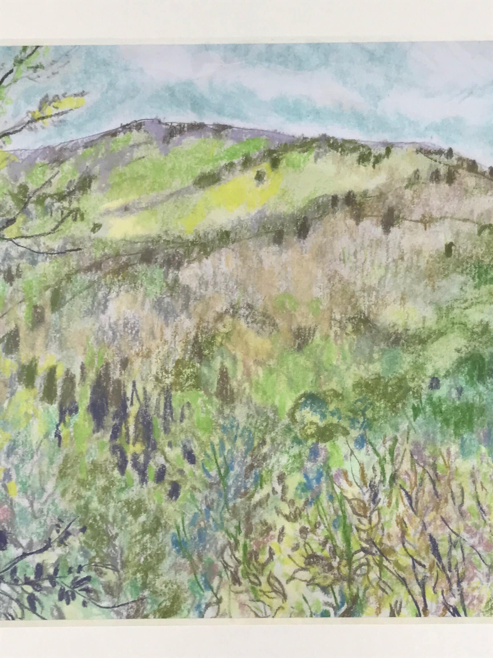 Japanese Lush Nature Landscape Pastel Drawing Art Signed Yoshihiro Hagino FL321