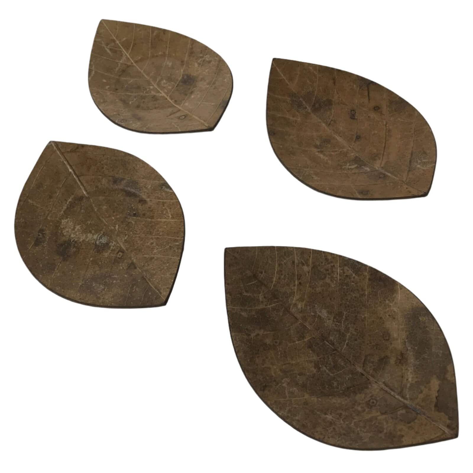 Japanese Magnolia Leaf Drink Saucer Chataku Coaster 4pc Natural Brown L387