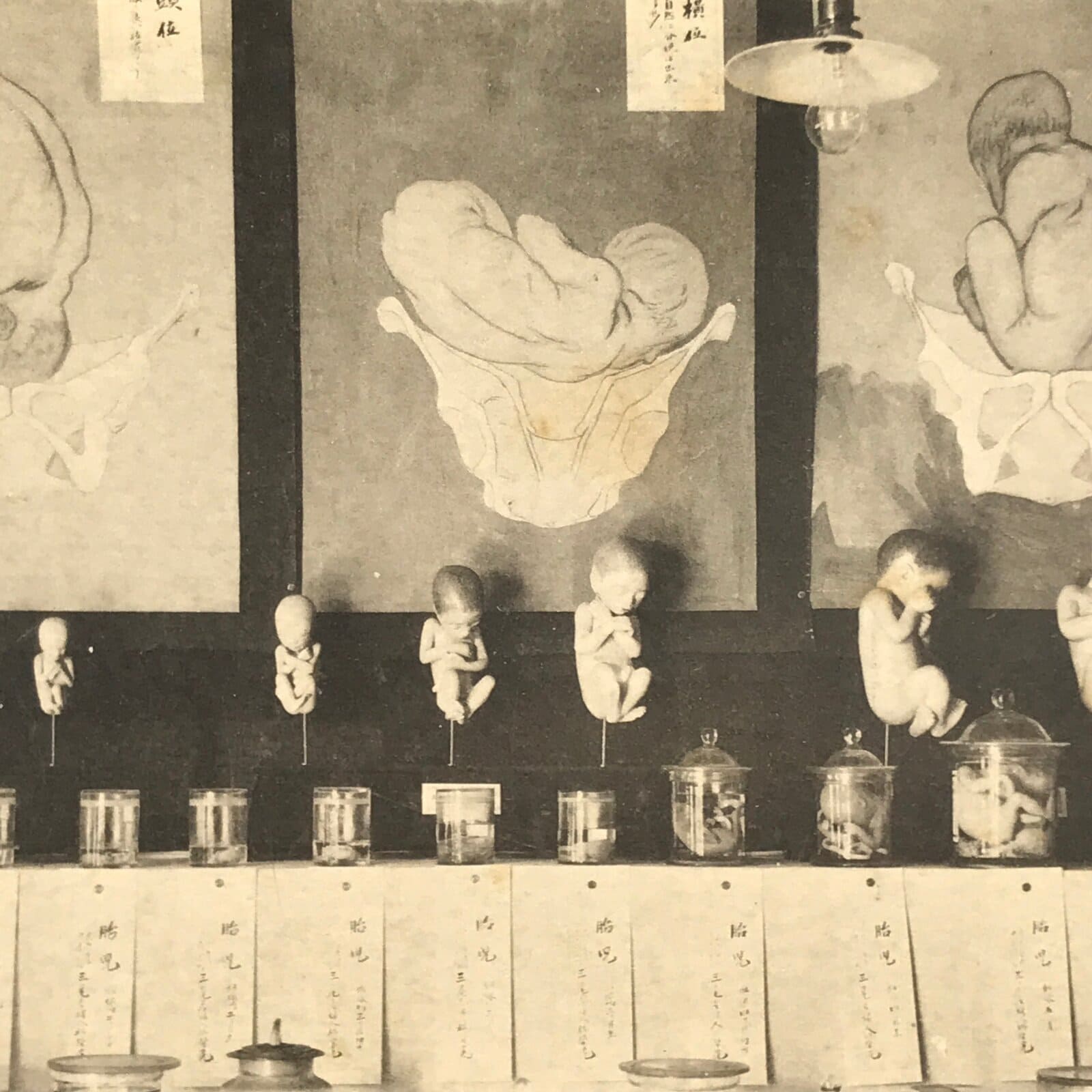 Japanese Nagoya Hygiene Exhibition Postcard Vtg Souvenir Paper Black White PC74