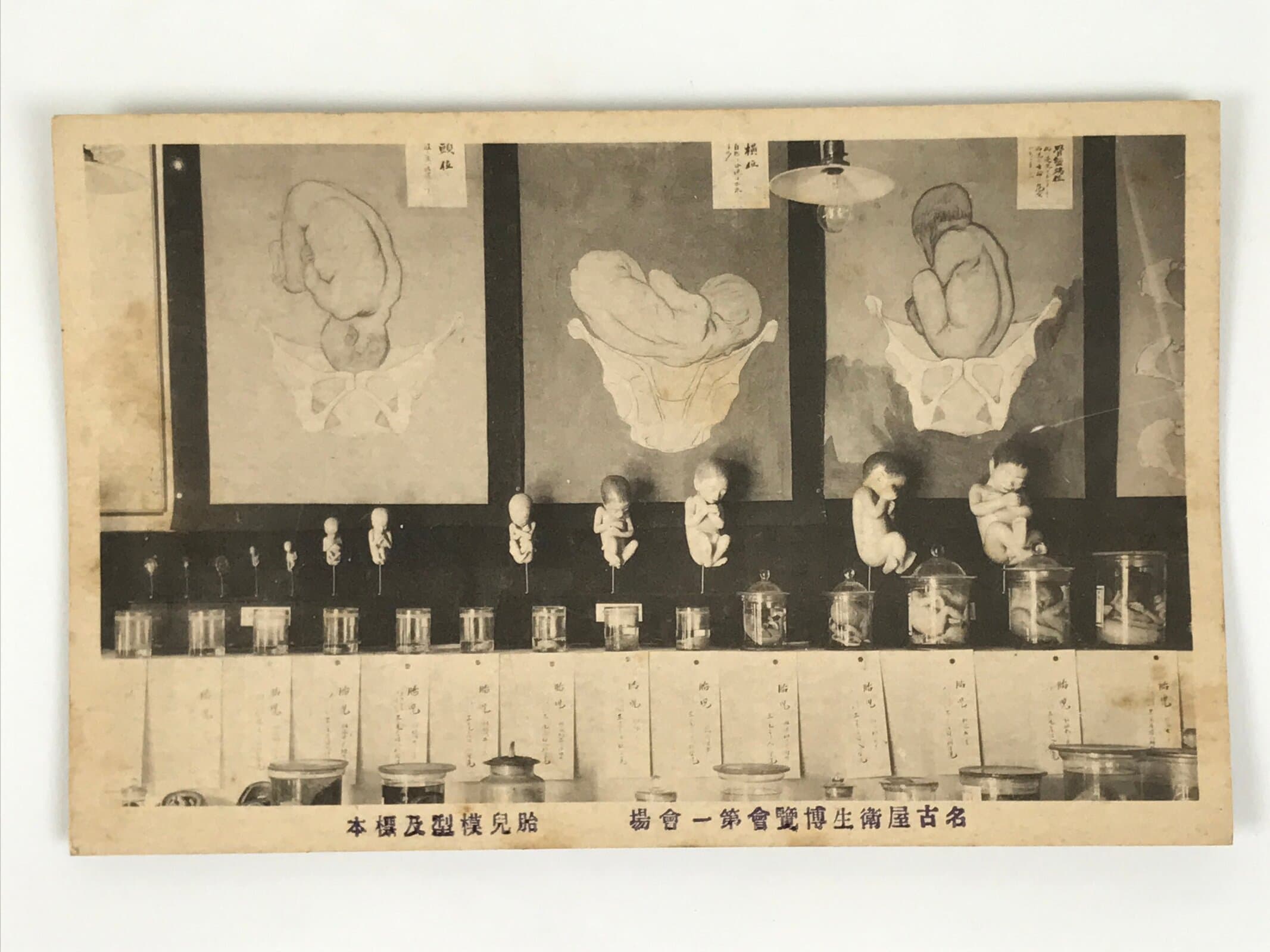 Japanese Nagoya Hygiene Exhibition Postcard Vtg Souvenir Paper Black White PC74