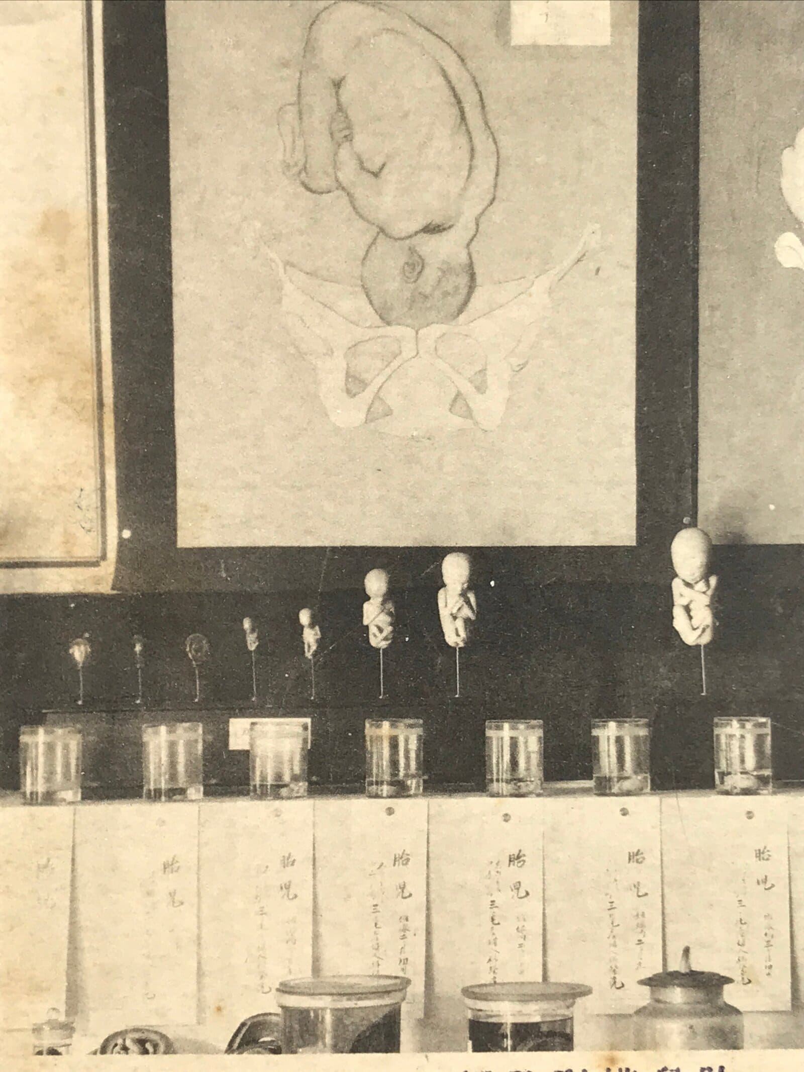 Japanese Nagoya Hygiene Exhibition Postcard Vtg Souvenir Paper Black White PC74