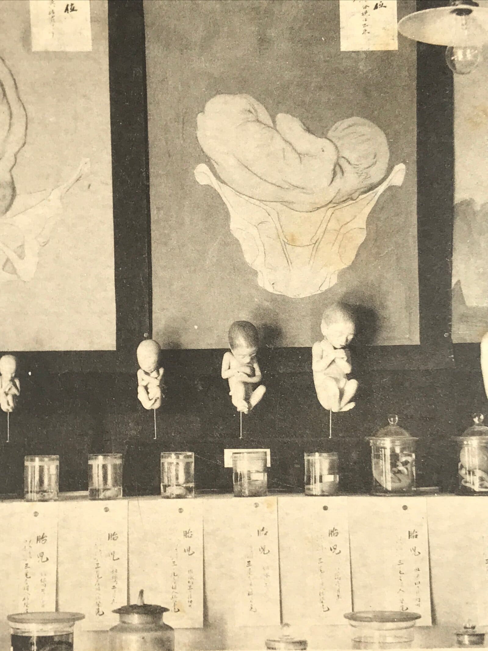 Japanese Nagoya Hygiene Exhibition Postcard Vtg Souvenir Paper Black White PC74