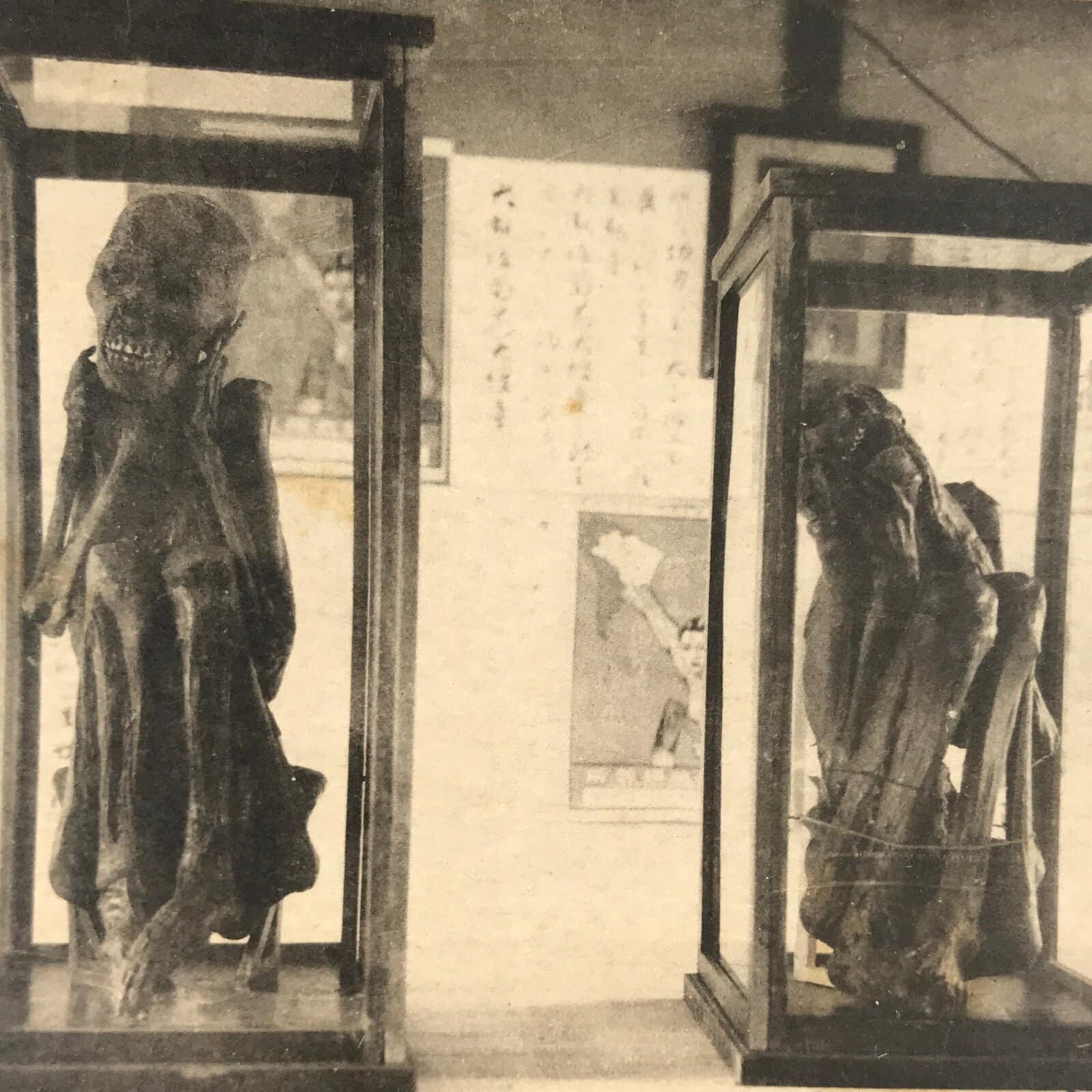 Japanese Nagoya Hygiene Exhibition Postcard Vtg Souvenir Paper Black White PC75