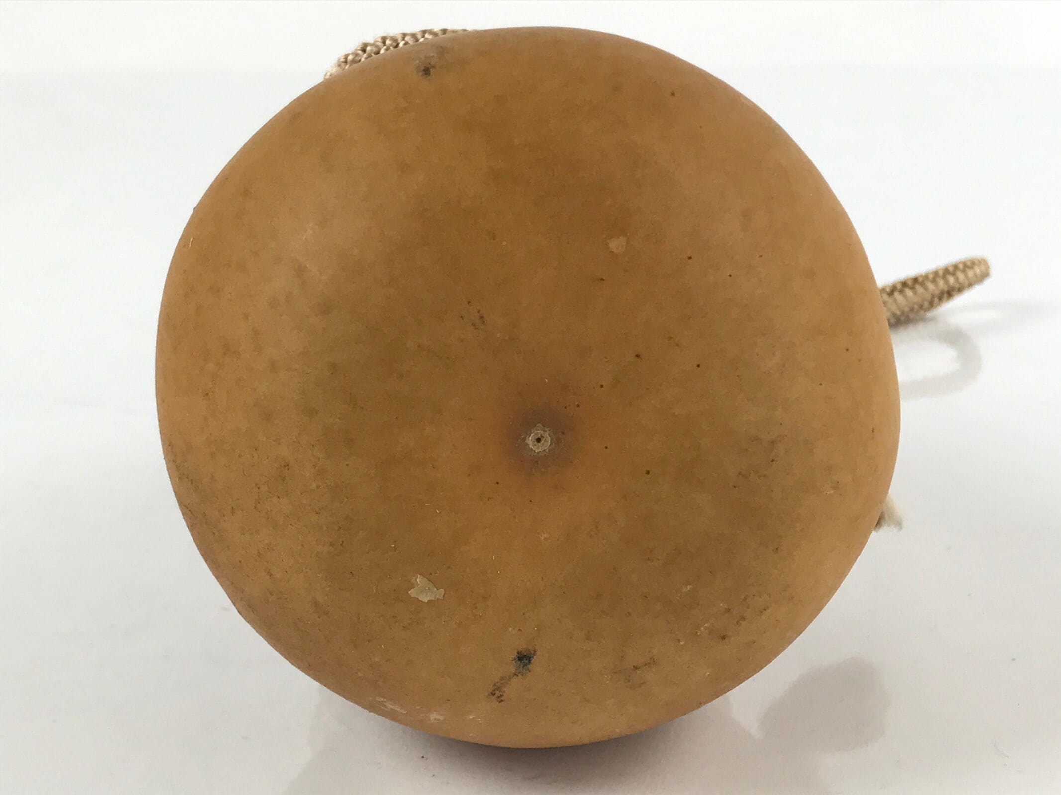 Japanese Natural Hyotan Gourd Vtg Sake Bottle Lucky Charm Calabash Lidded G259