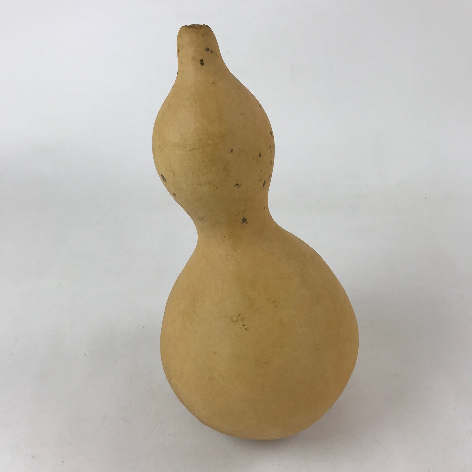Japanese Natural Hyotan Gourd Vtg Sake Bottle Lucky Charm Large Calabash G250
