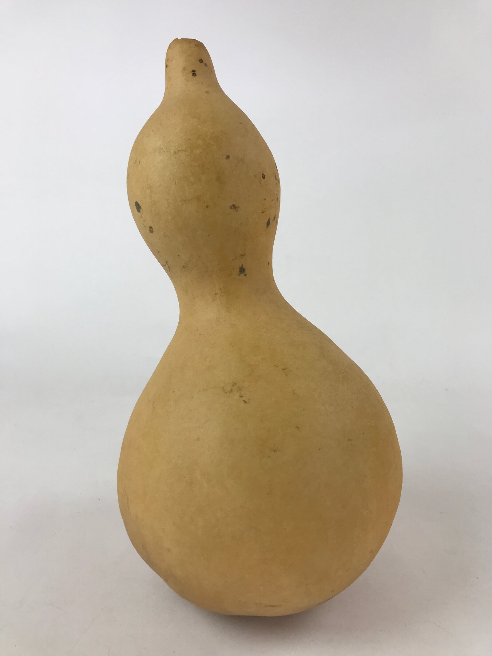 Japanese Natural Hyotan Gourd Vtg Sake Bottle Lucky Charm Large Calabash G250