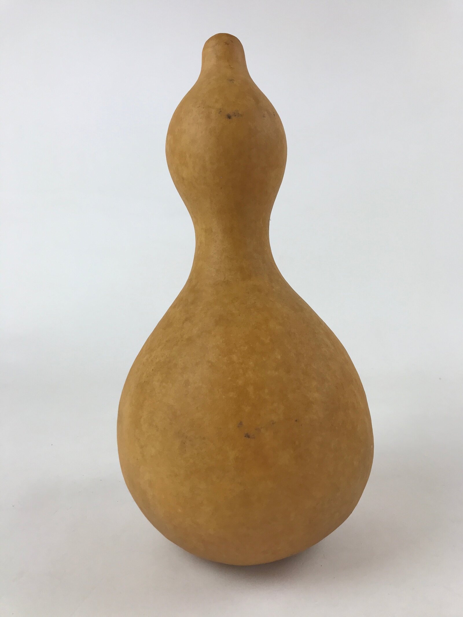 Japanese Natural Hyotan Gourd Vtg Sake Bottle Lucky Charm Large Calabash G252