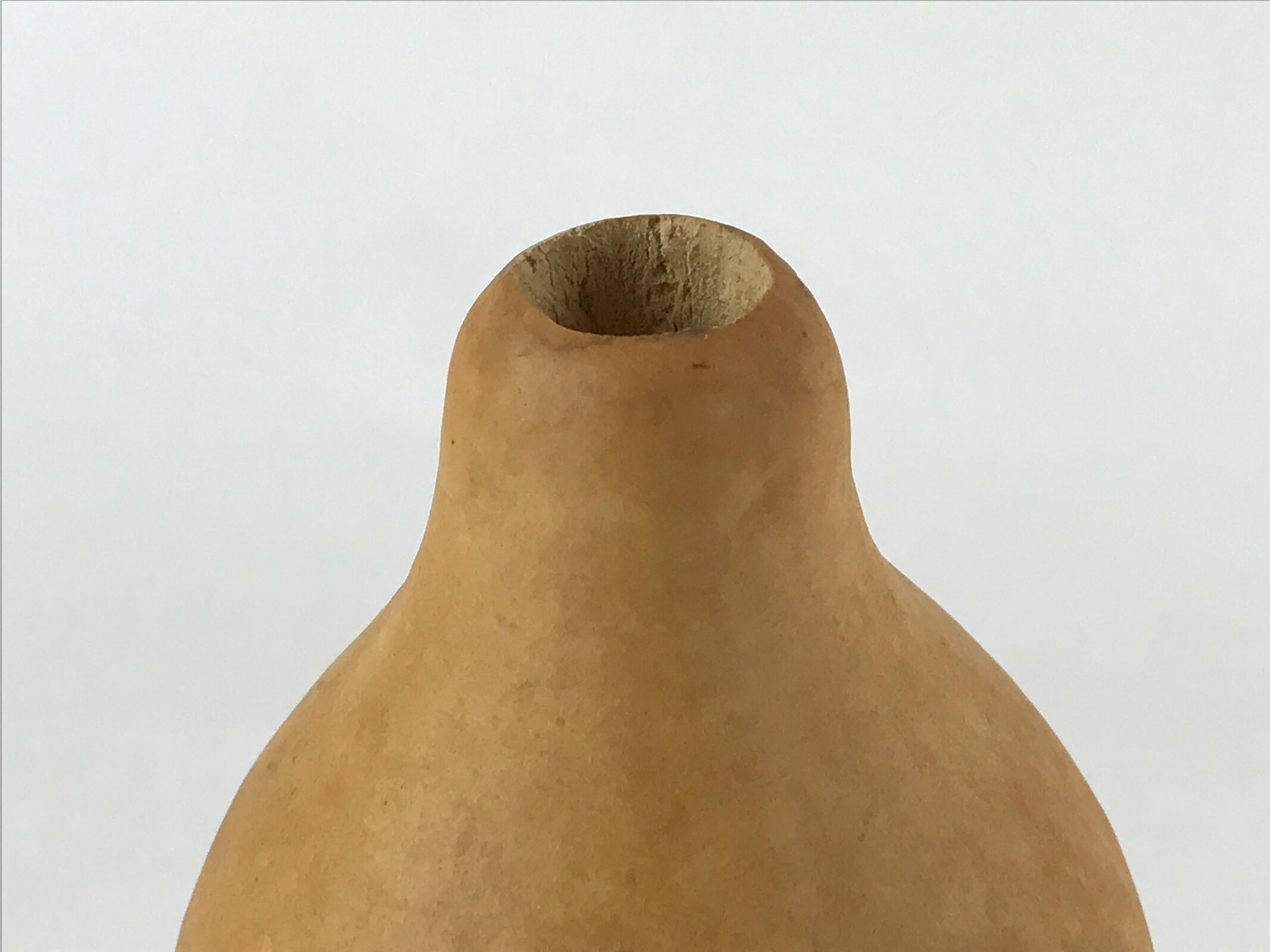 Japanese Natural Hyotan Gourd Vtg Sake Bottle Lucky Charm Large Calabash G252