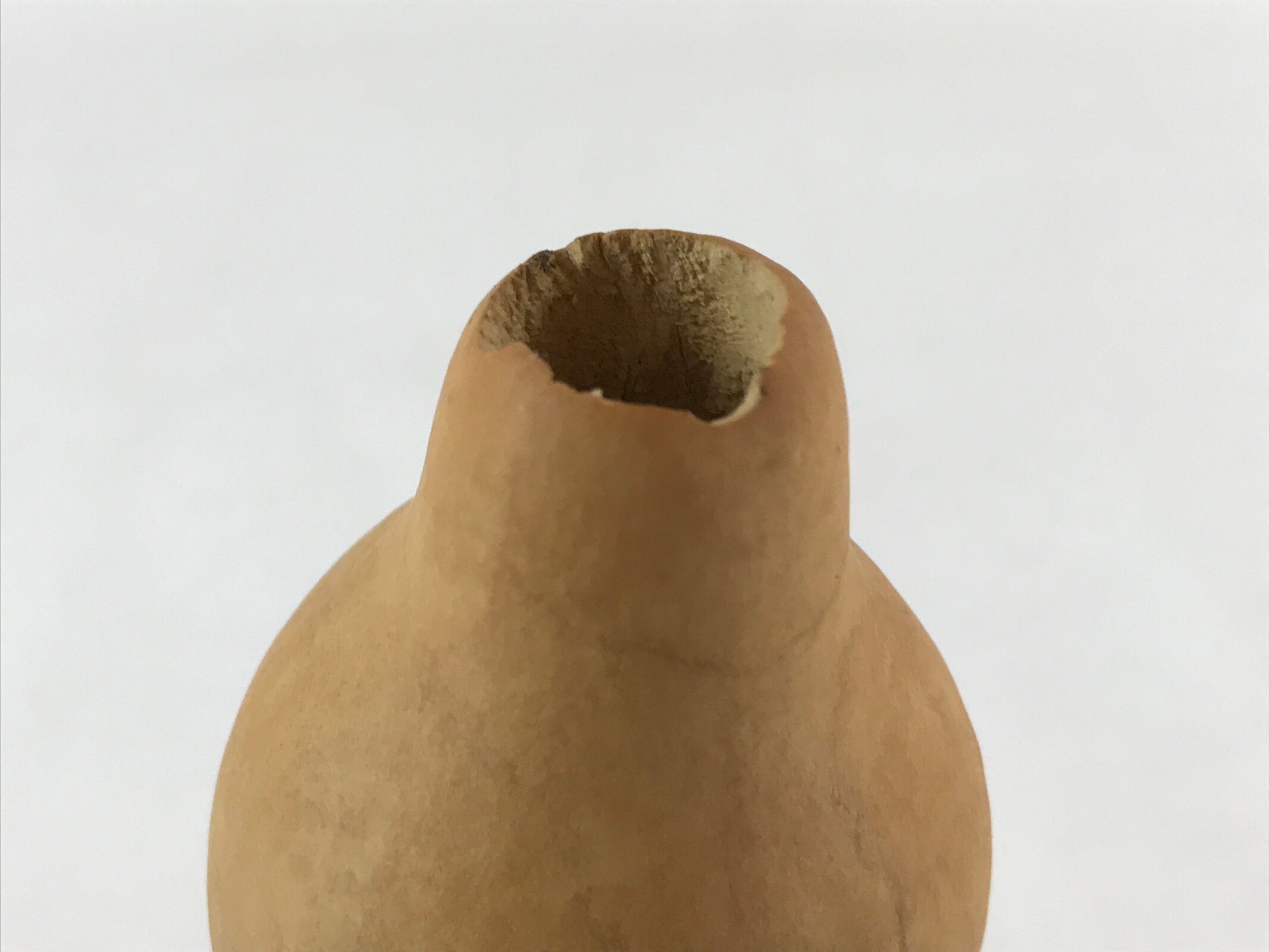 Japanese Natural Hyotan Gourd Vtg Sake Bottle Lucky Charm Large Calabash G253