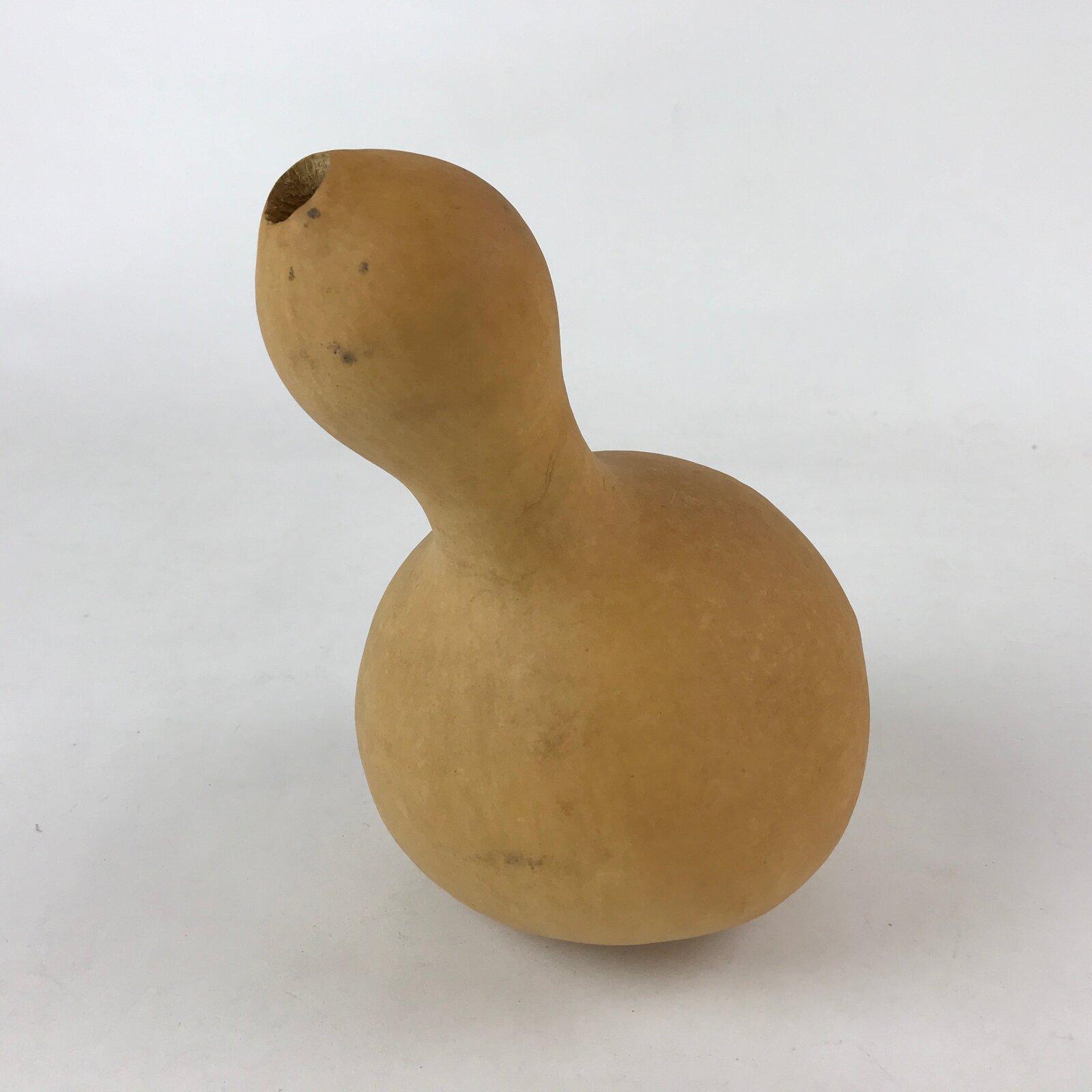 Japanese Natural Hyotan Gourd Vtg Sake Bottle Lucky Charm Large Calabash G254