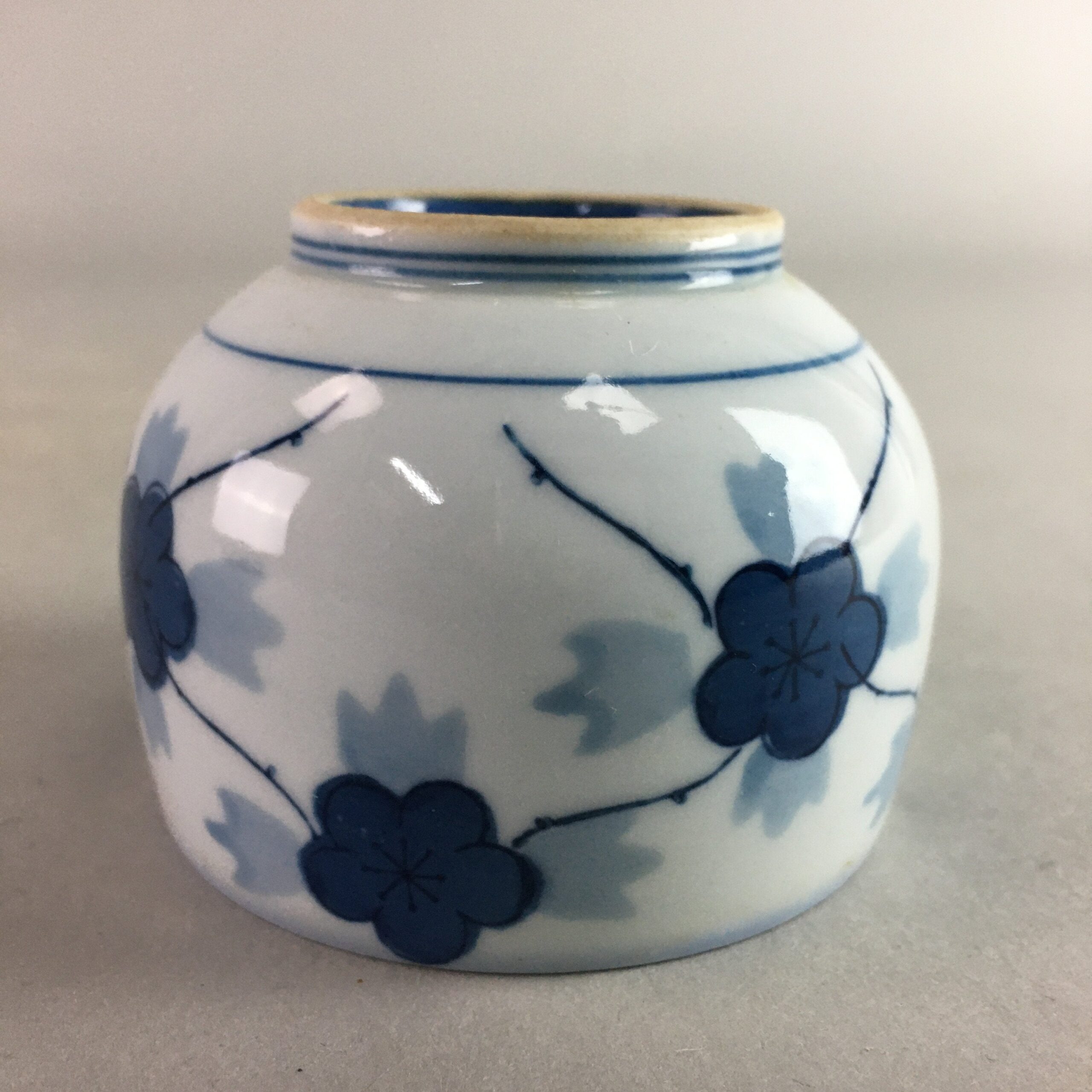 Japanese Porcelain Sake Cup Vtg Guinomi Sakazuki Blue White Sometsuke GU665